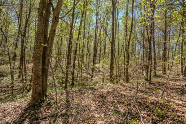 2167 Powdermill Hill Road Lawrenceburg TN 38464