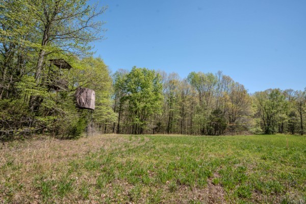 2167 Powdermill Hill Road Lawrenceburg TN 38464