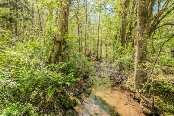 2167 Powdermill Hill Road Lawrenceburg TN 38464