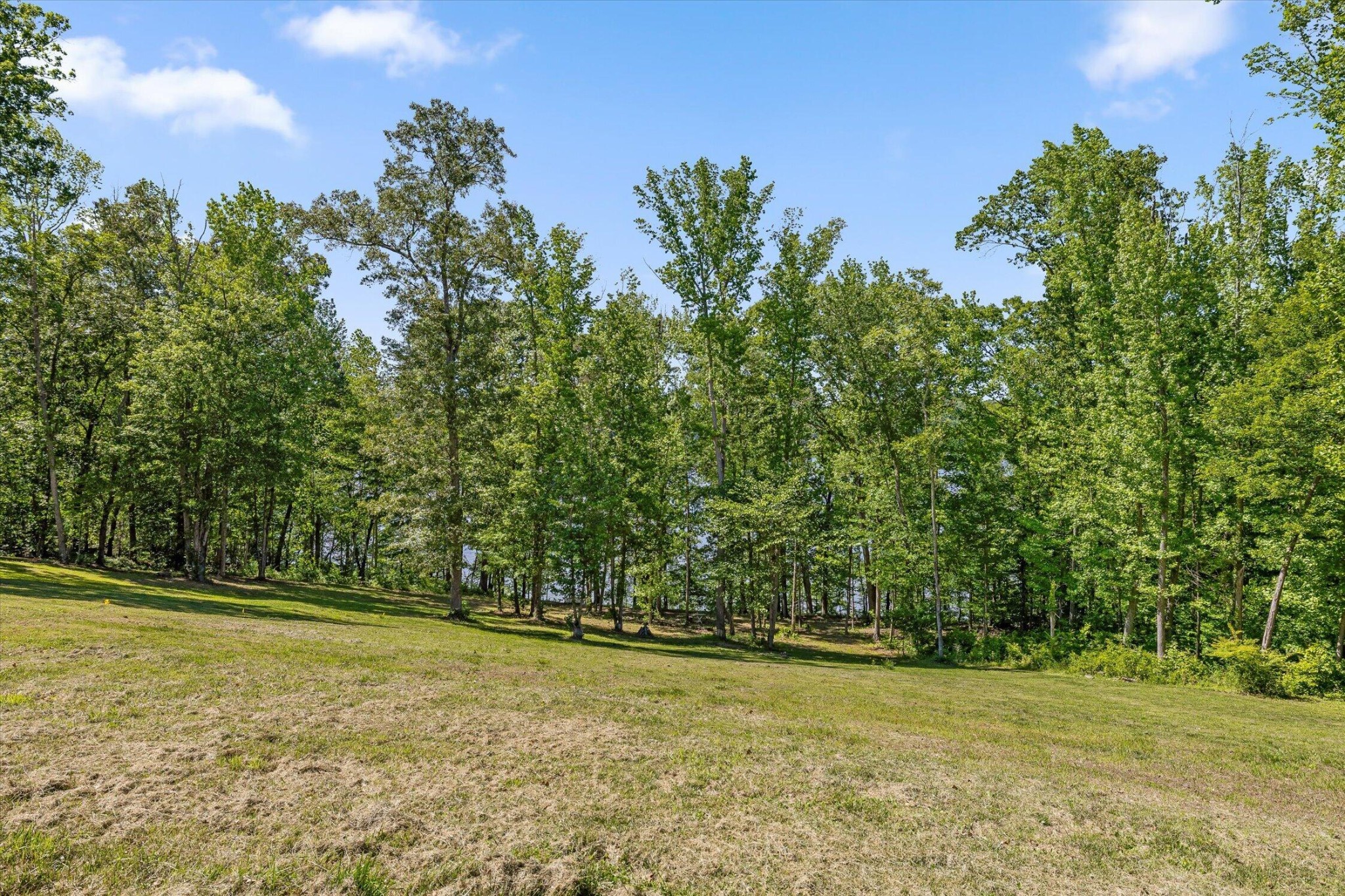 15025 May Road Sale Creek TN 37373