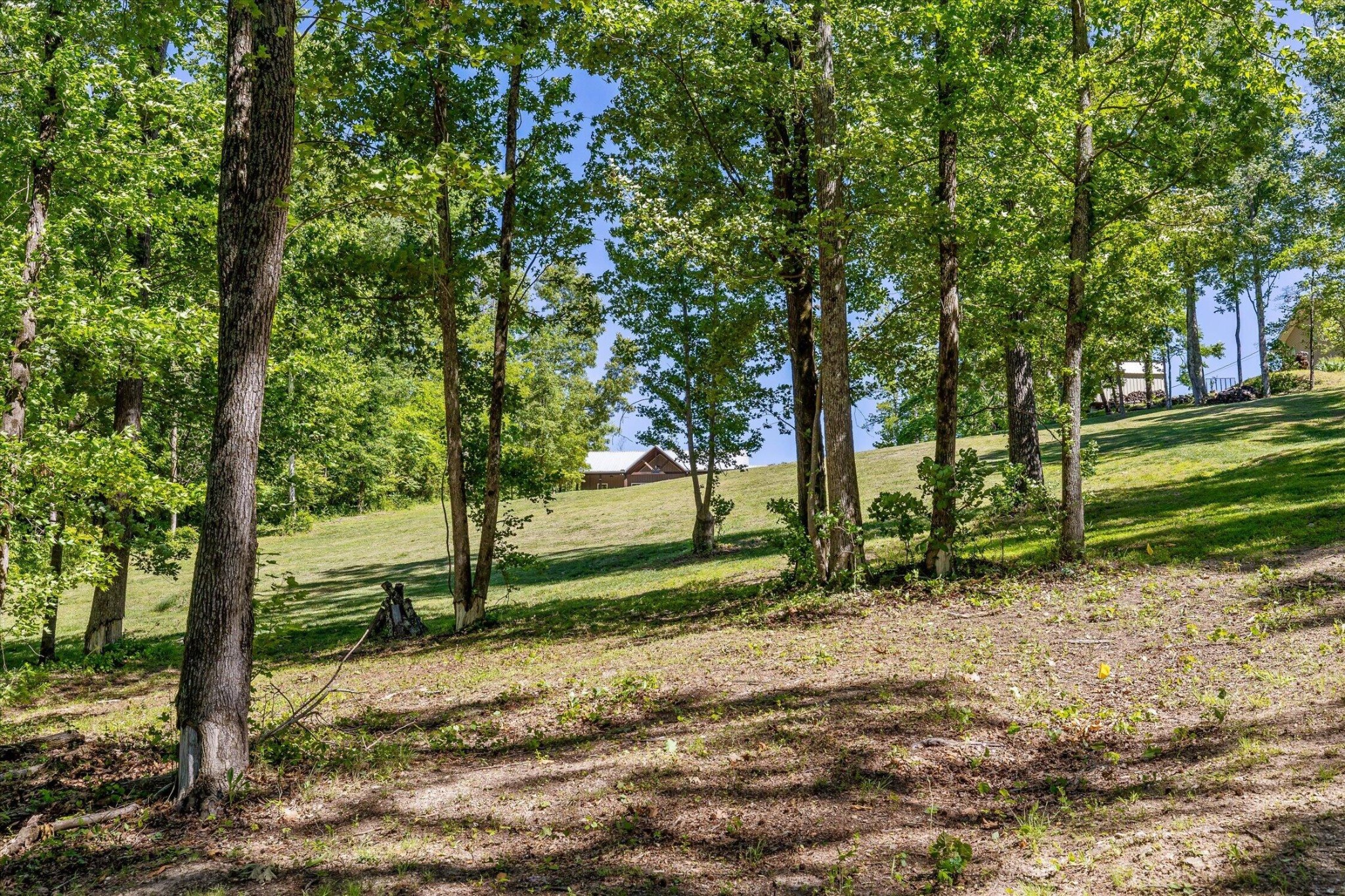 15025 May Road Sale Creek TN 37373