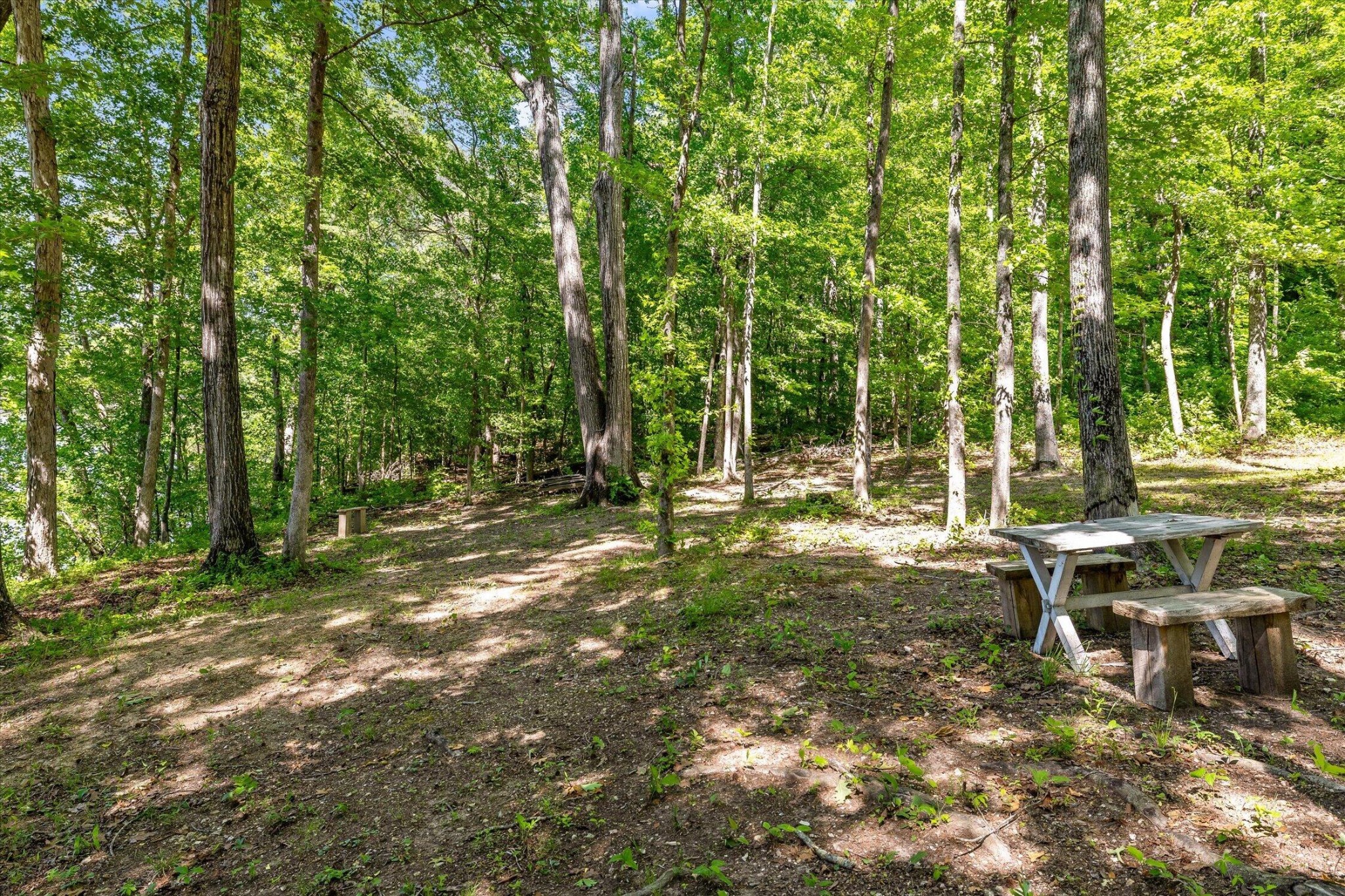 15025 May Road Sale Creek TN 37373