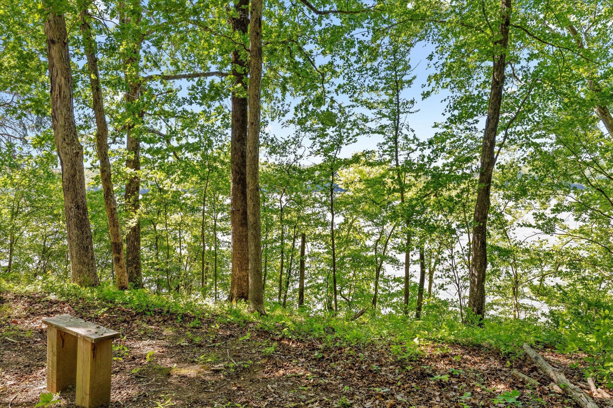 15025 May Road Sale Creek TN 37373