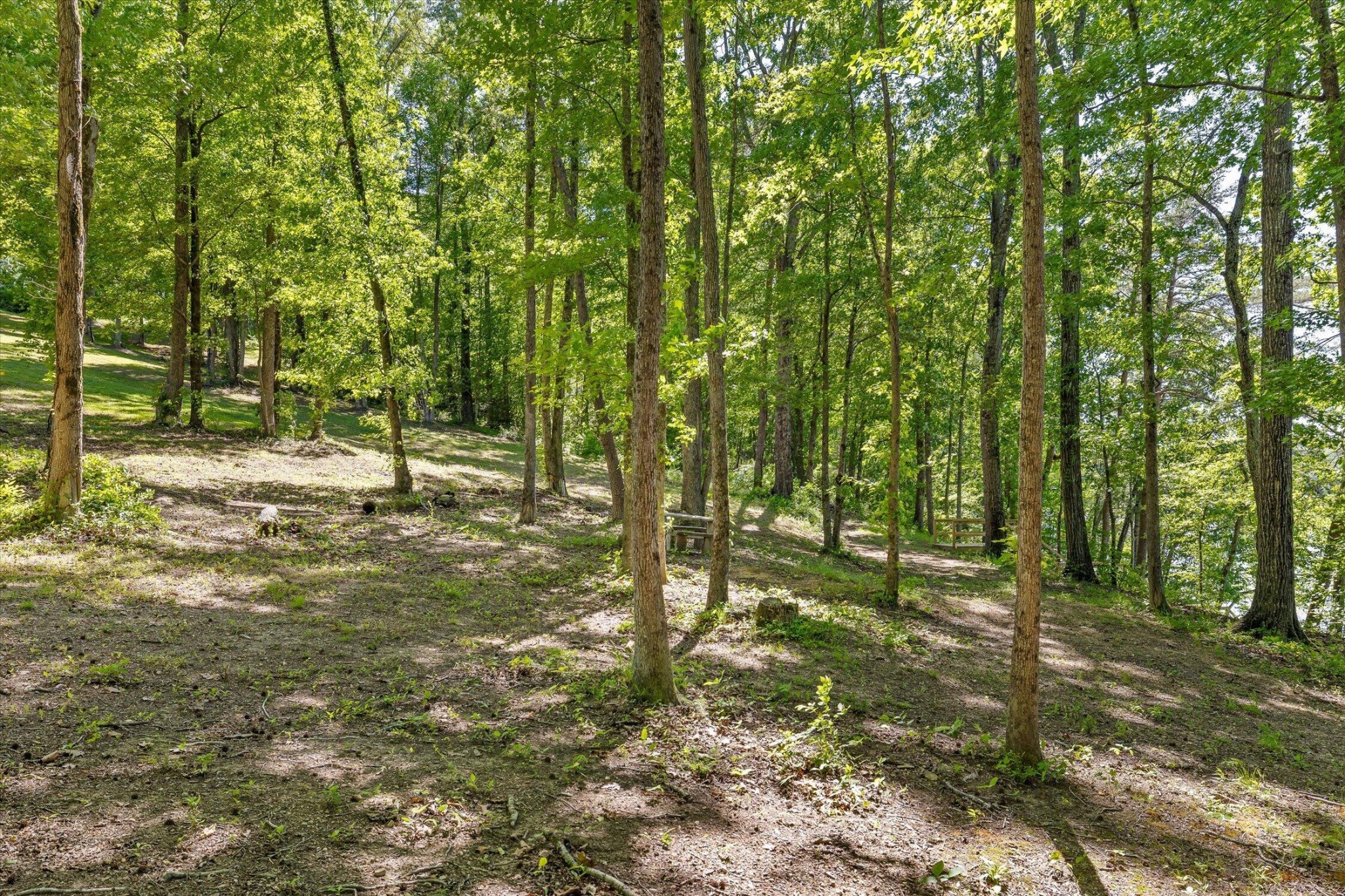 15025 May Road Sale Creek TN 37373