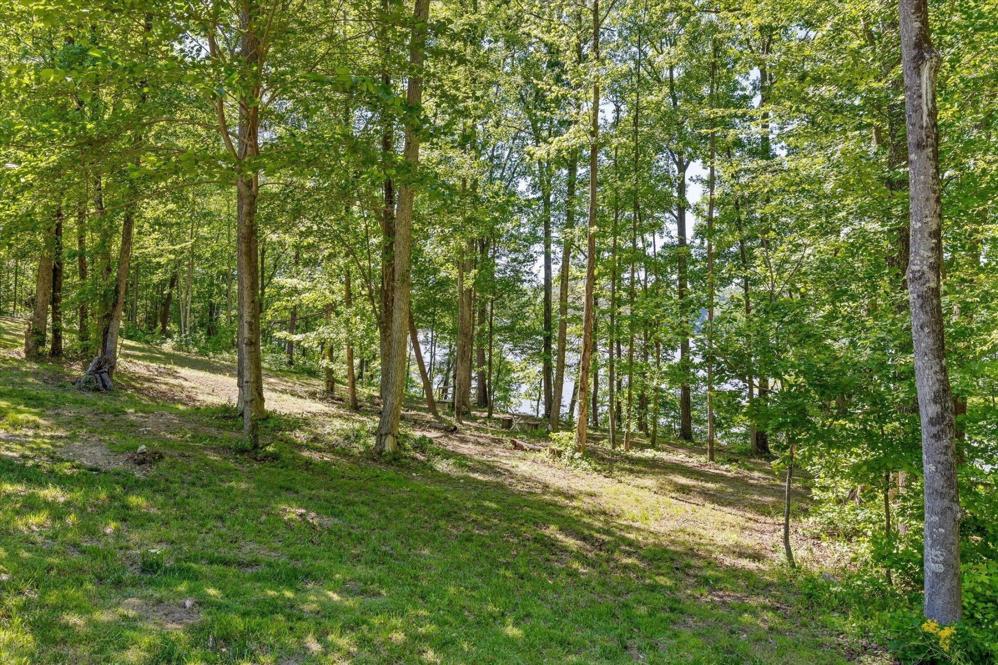 15025 May Road Sale Creek TN 37373
