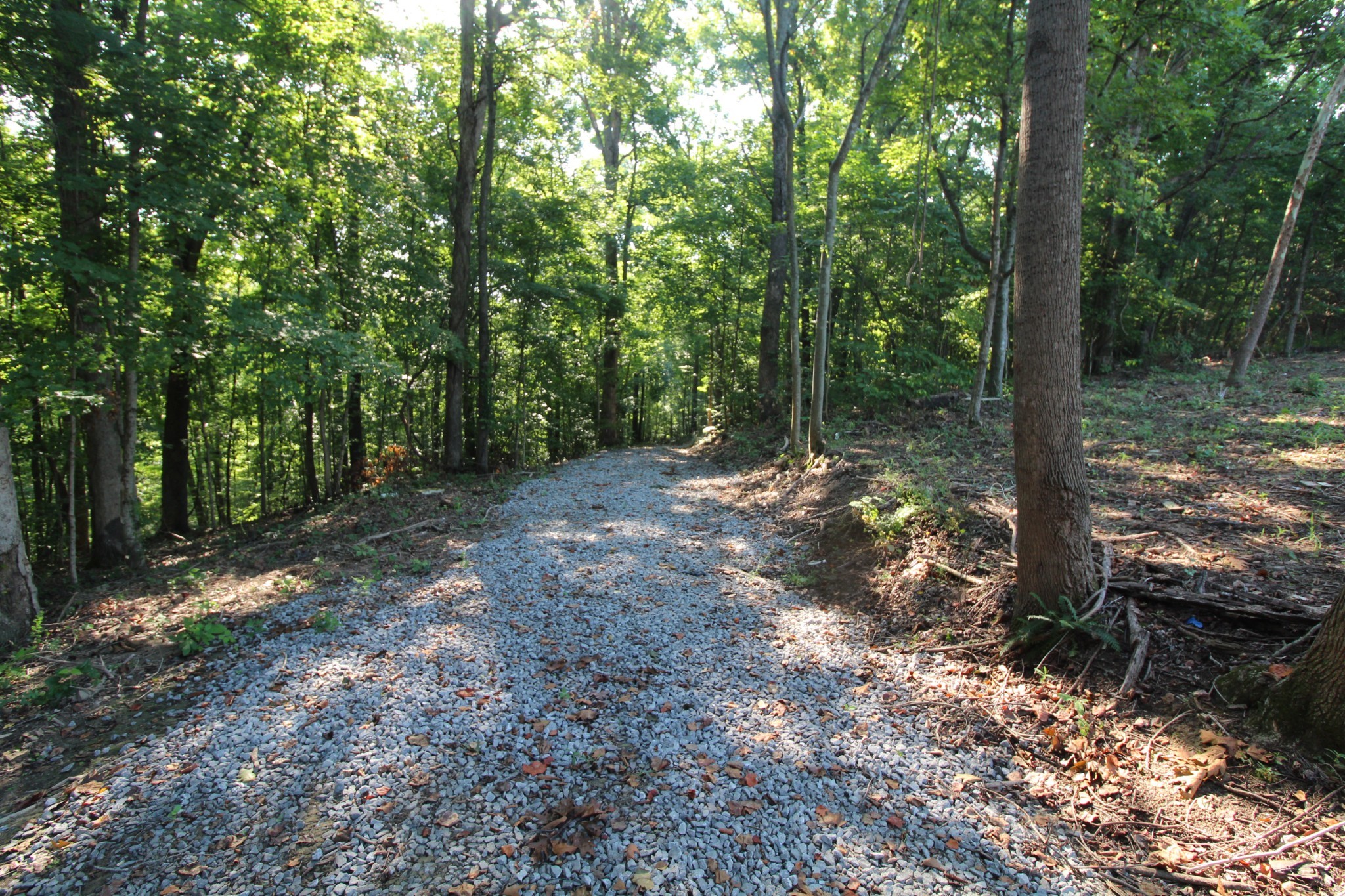 1 Bandy Road Ashland City TN 37015