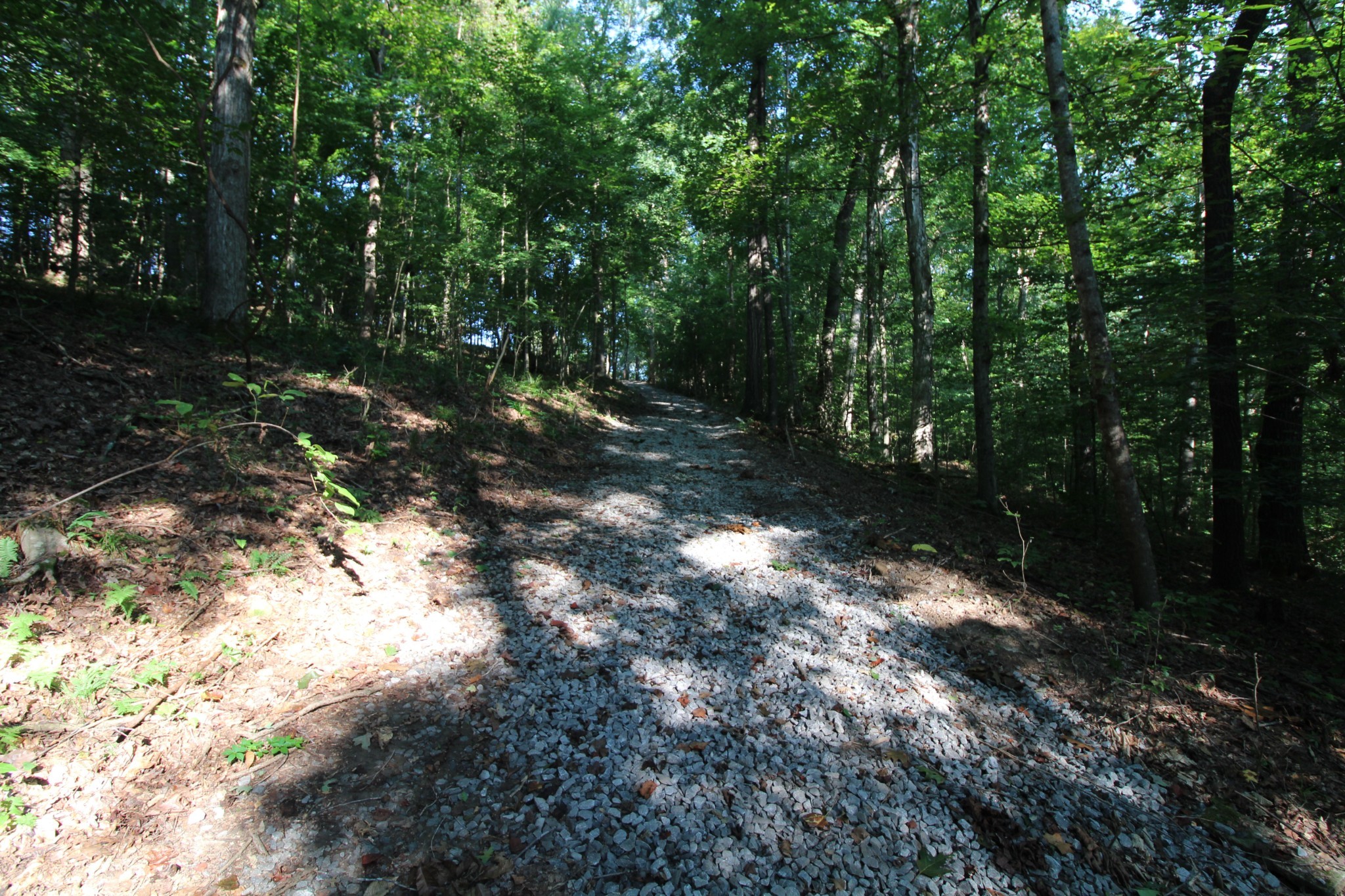1 Bandy Road Ashland City TN 37015