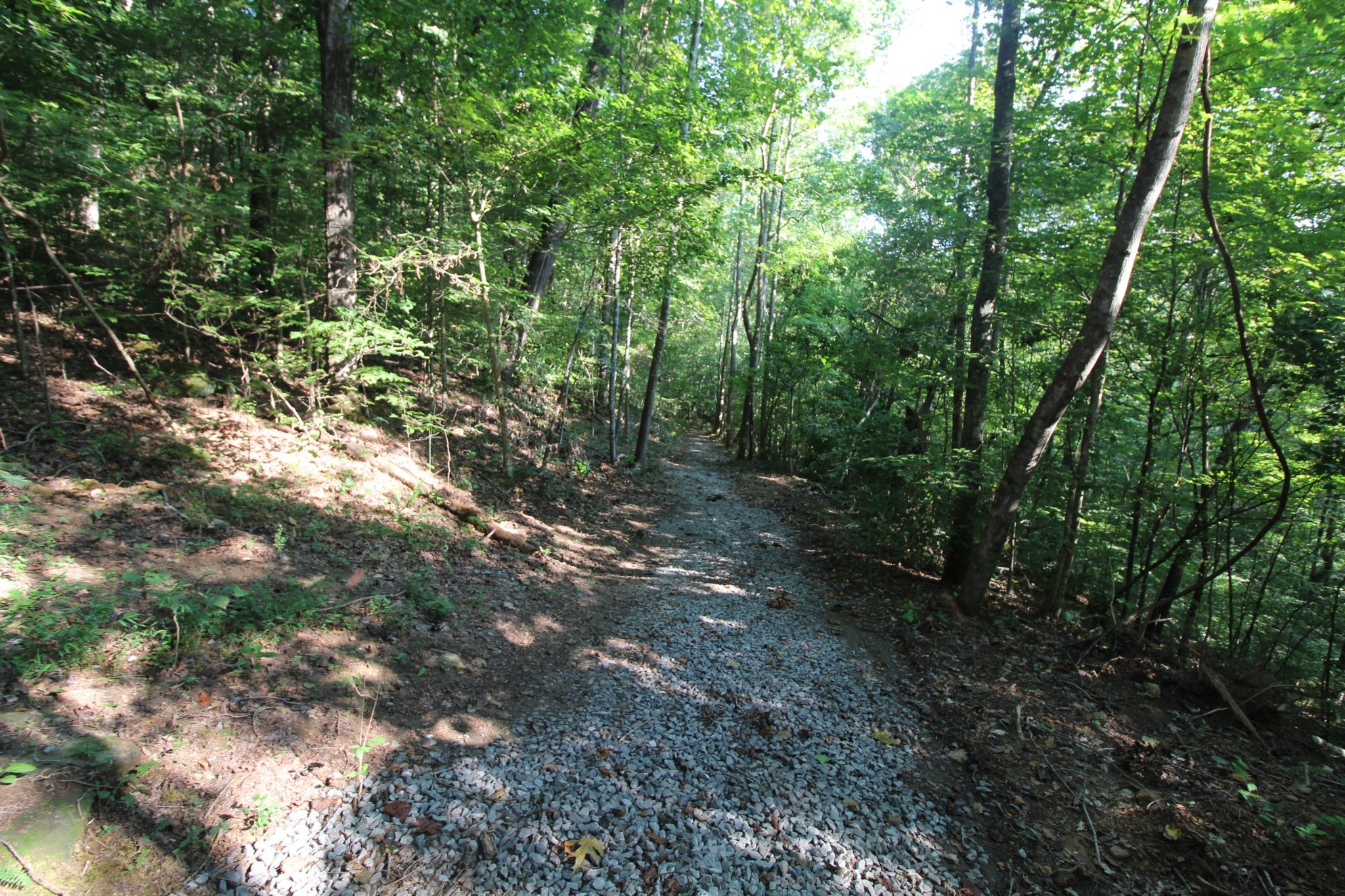1 Bandy Road Ashland City TN 37015