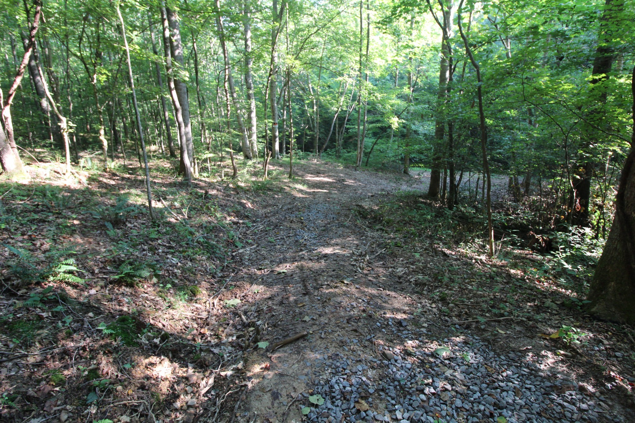 1 Bandy Road Ashland City TN 37015