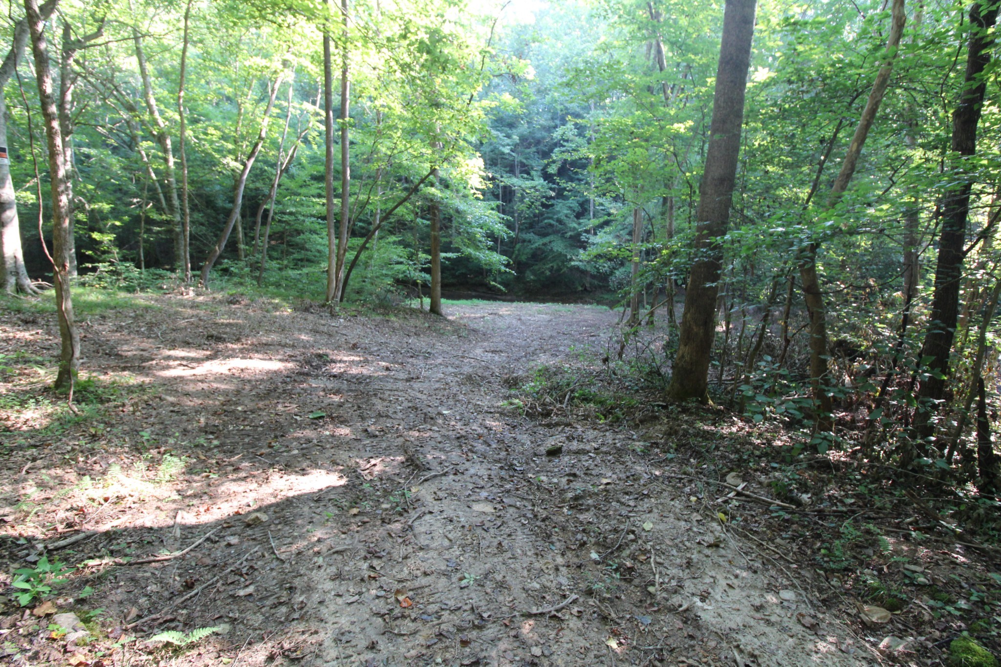 1 Bandy Road Ashland City TN 37015