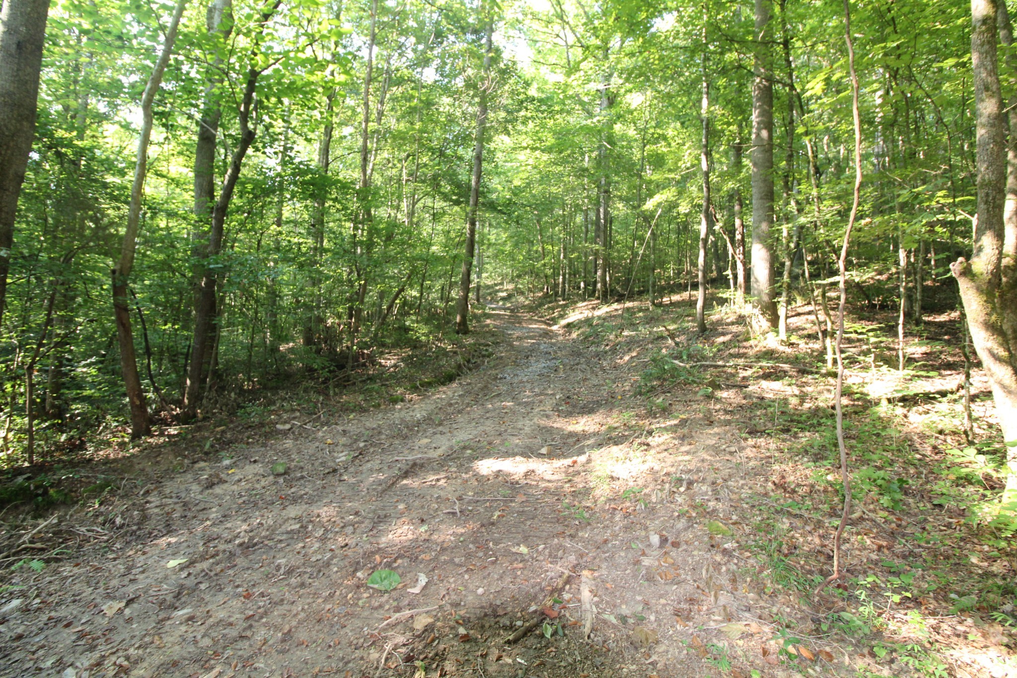 1 Bandy Road Ashland City TN 37015