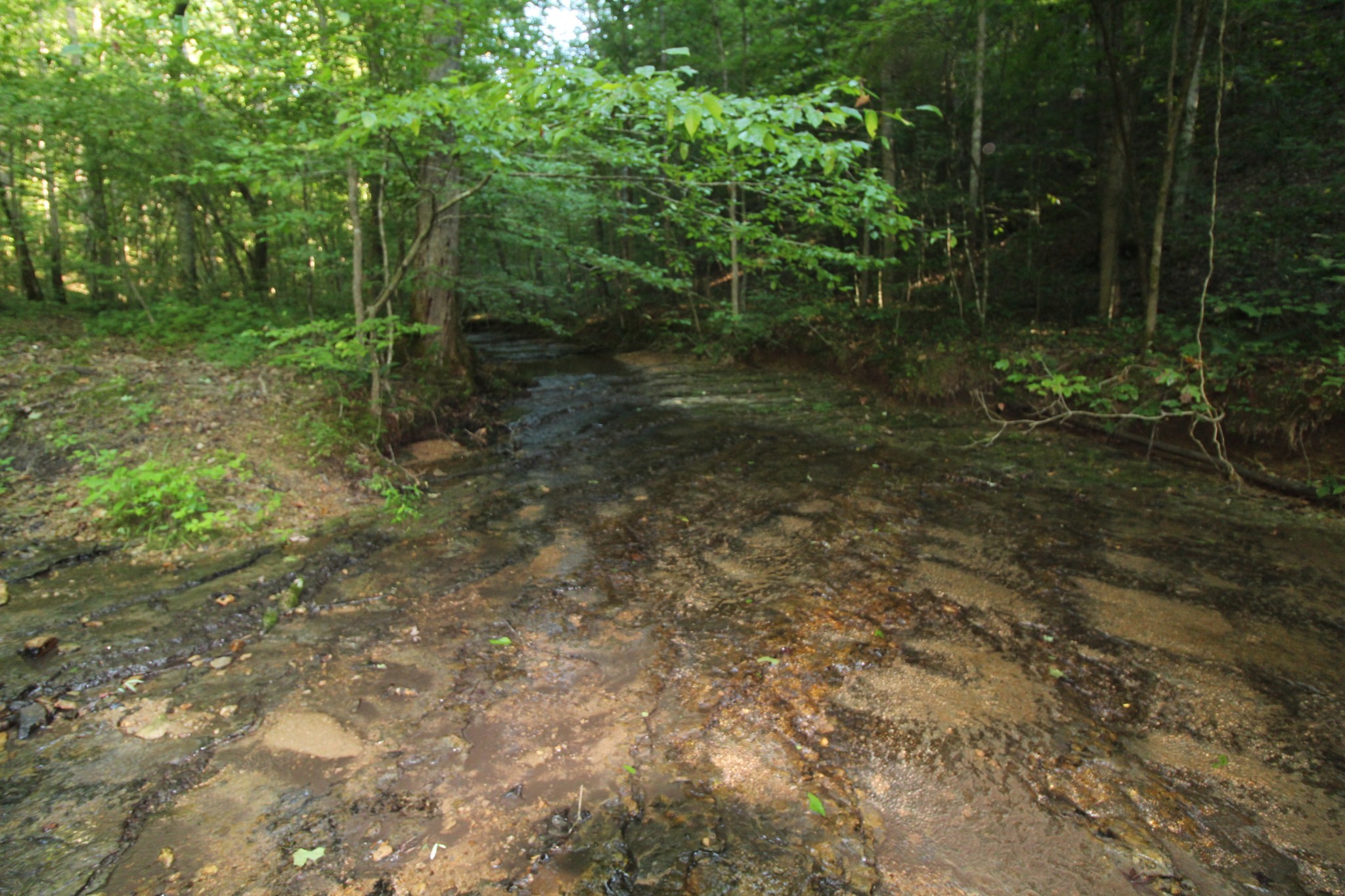 1 Bandy Road Ashland City TN 37015