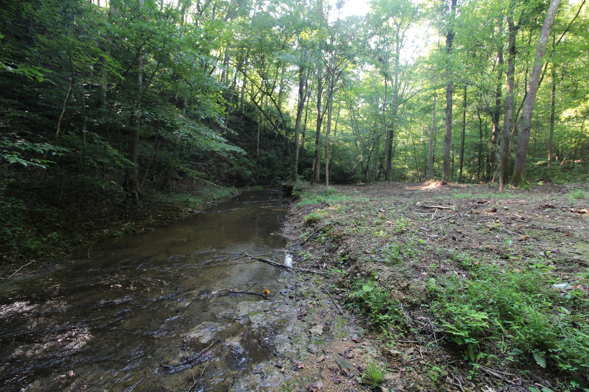 1 Bandy Road Ashland City TN 37015