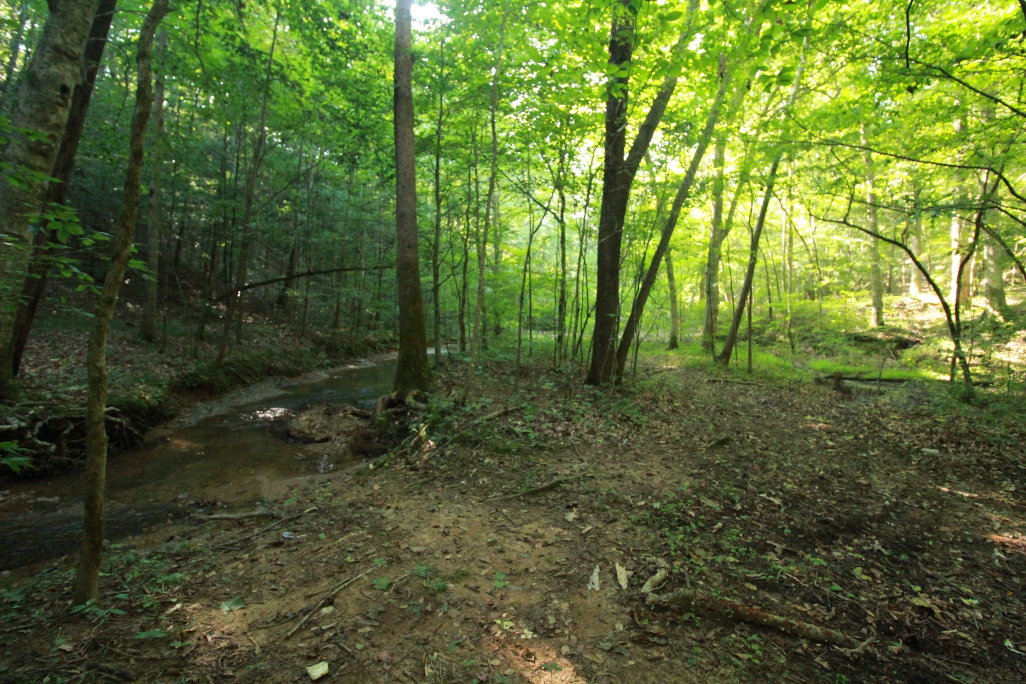 1 Bandy Road Ashland City TN 37015