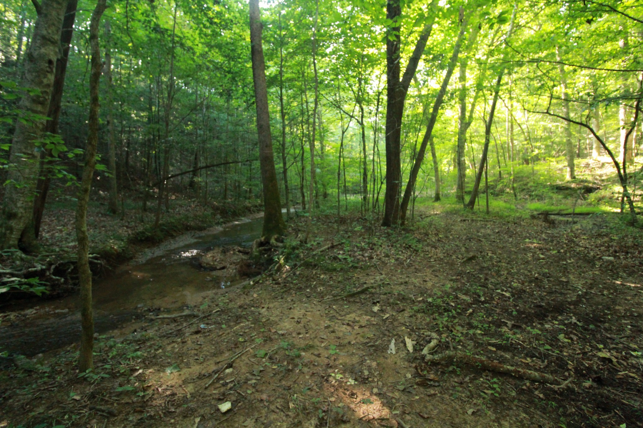 1 Bandy Road Ashland City TN 37015