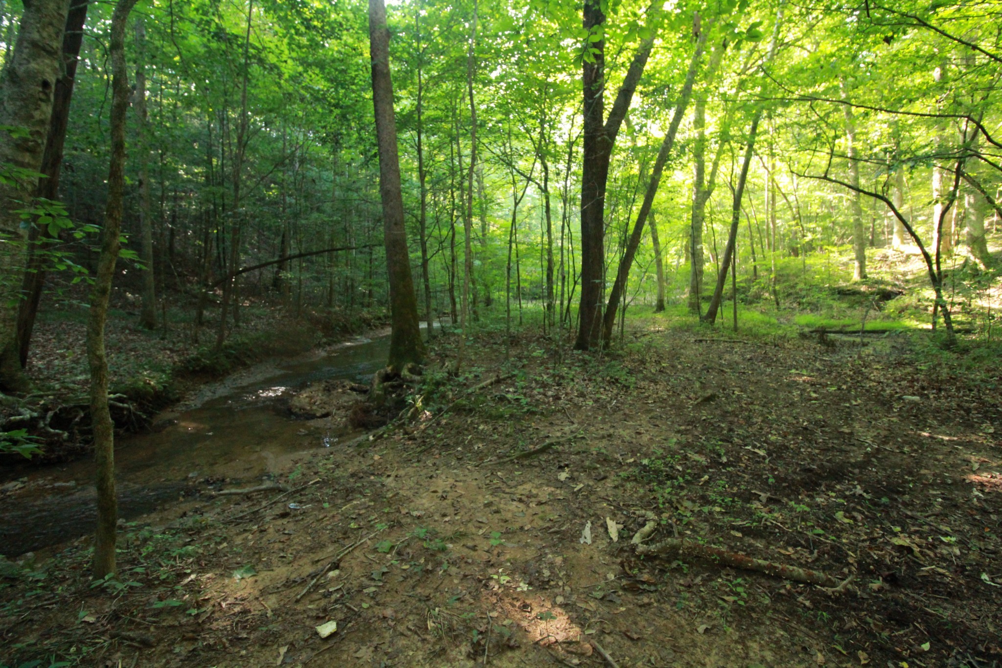 1 Bandy Road Ashland City TN 37015