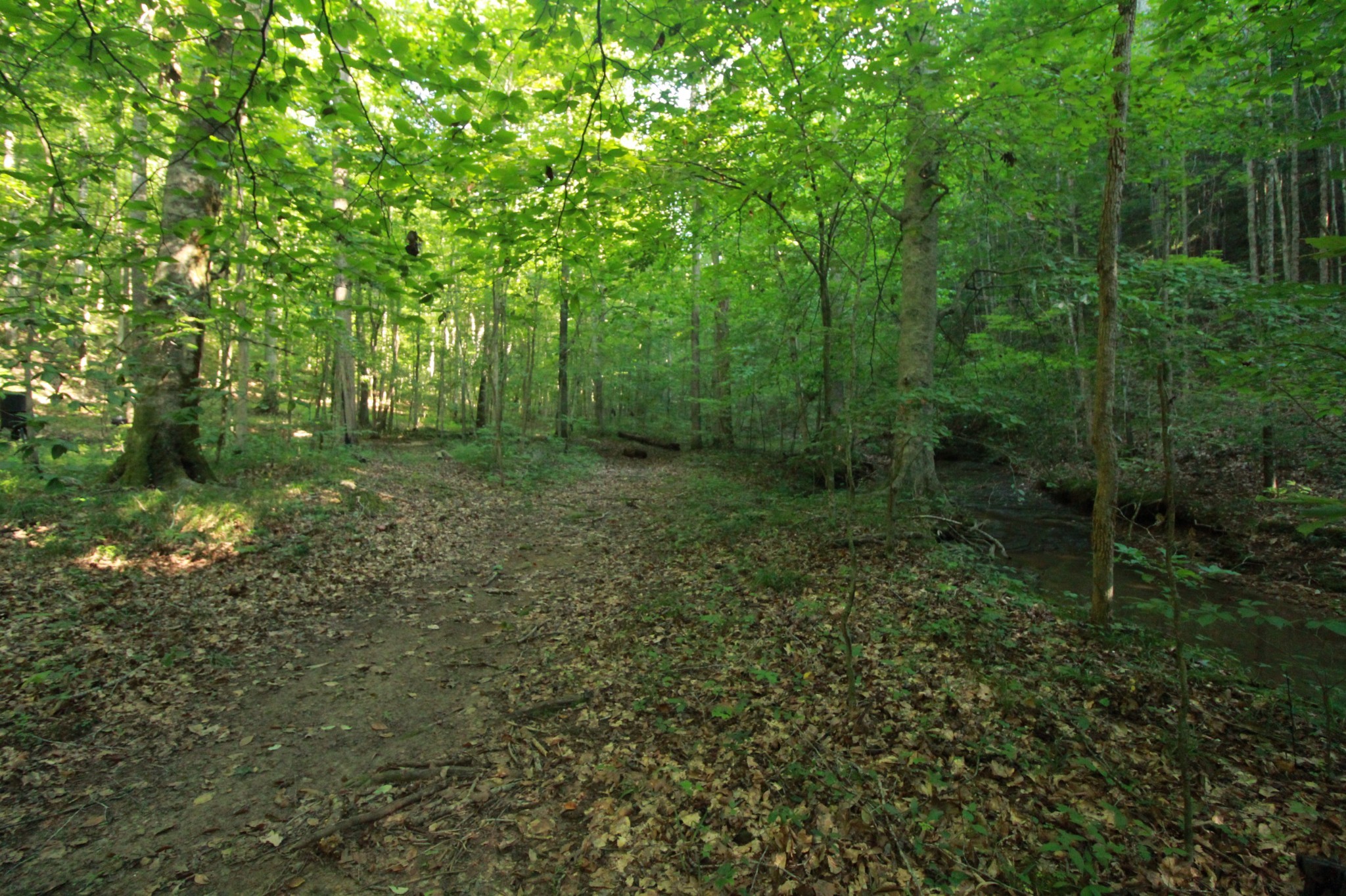 1 Bandy Road Ashland City TN 37015