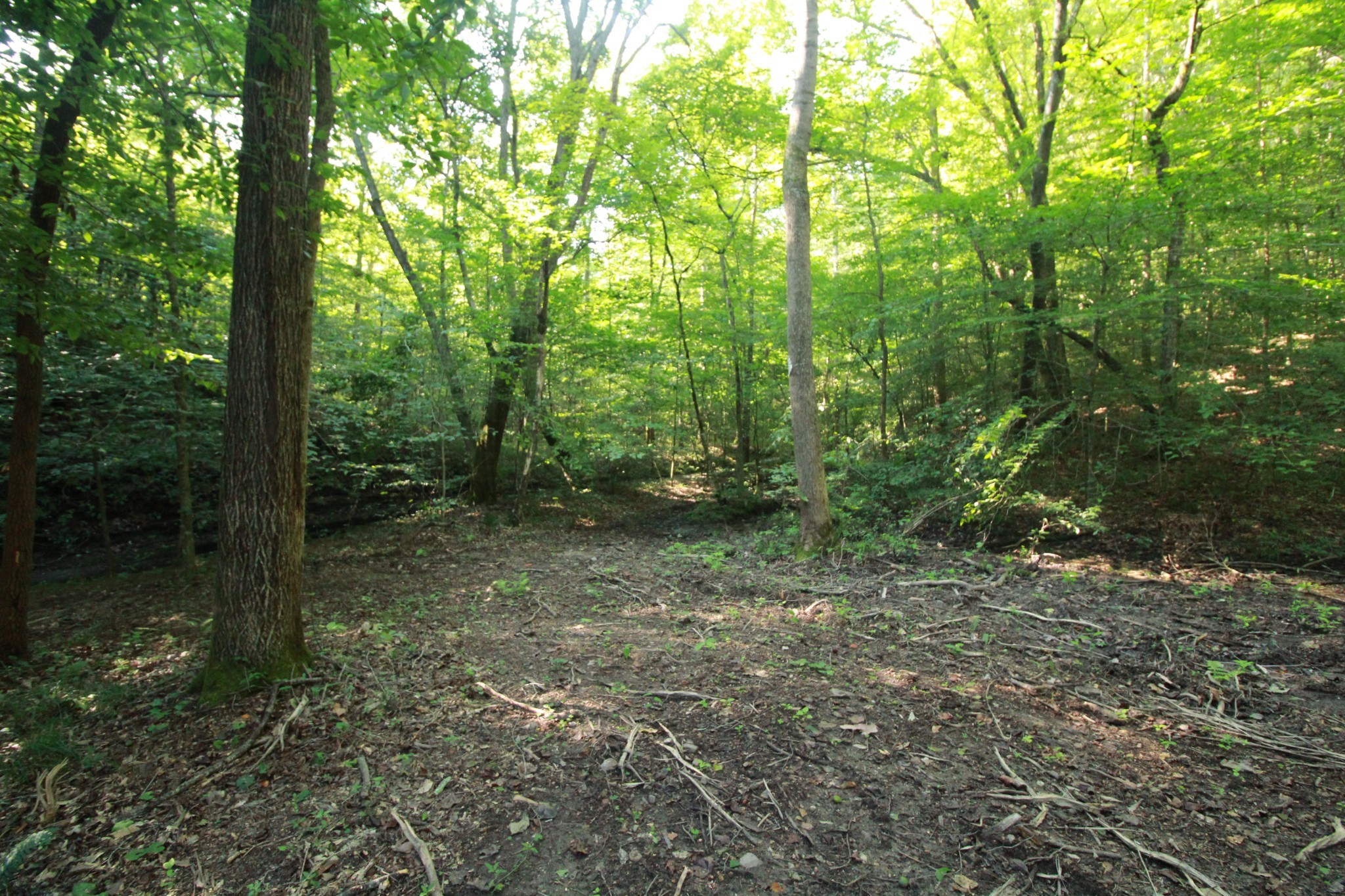 1 Bandy Road Ashland City TN 37015