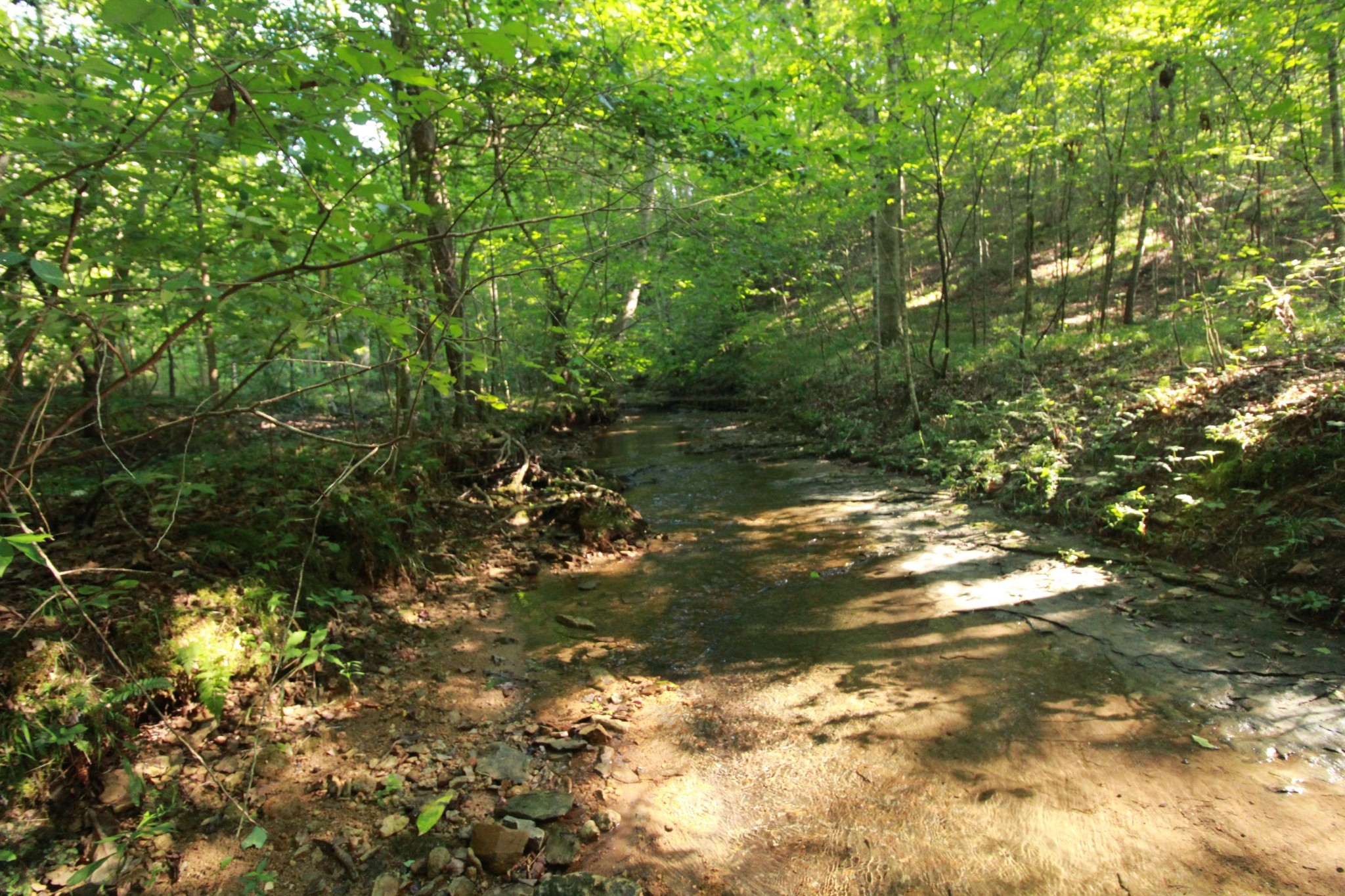 1 Bandy Road Ashland City TN 37015