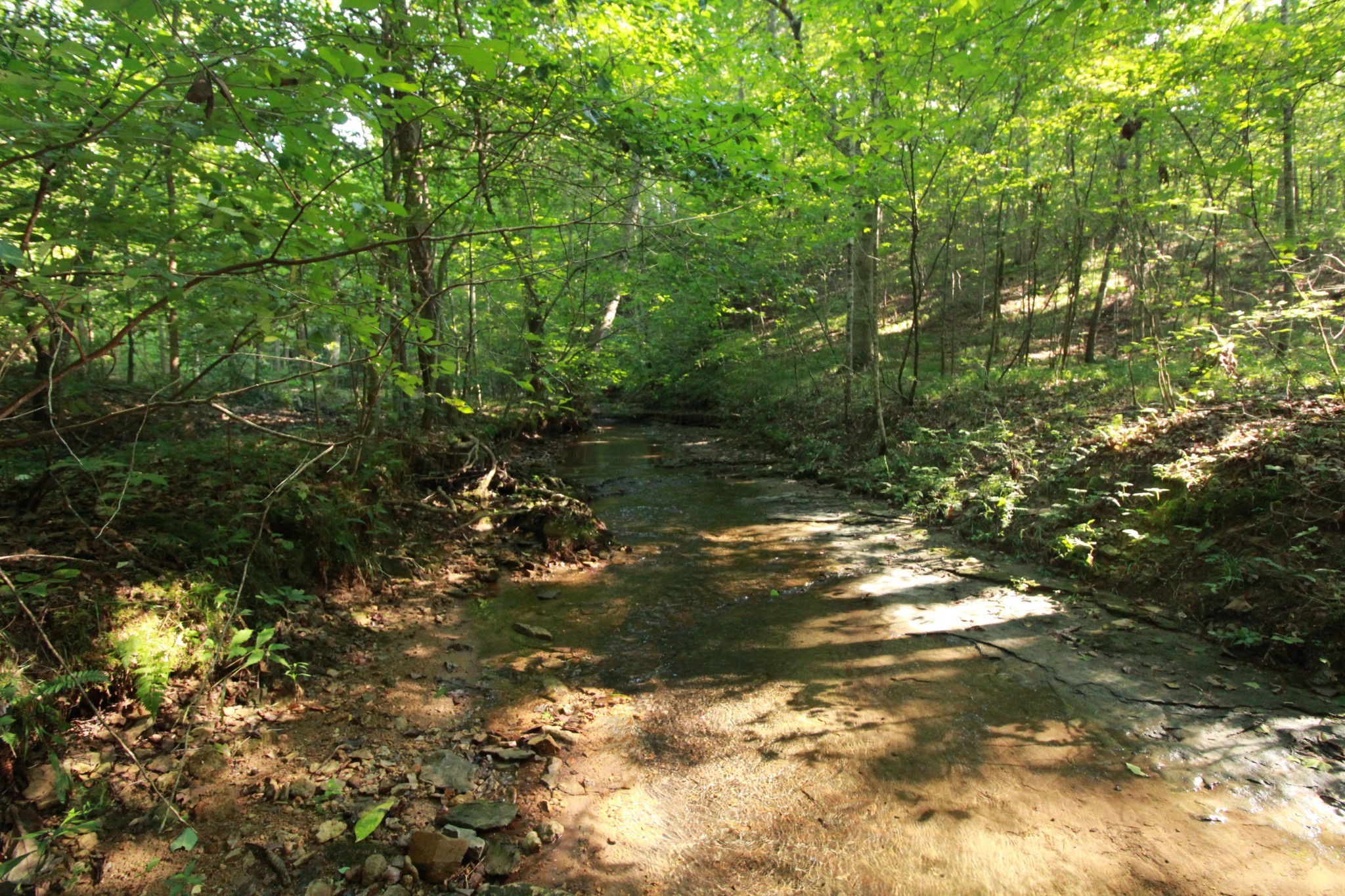 1 Bandy Road Ashland City TN 37015