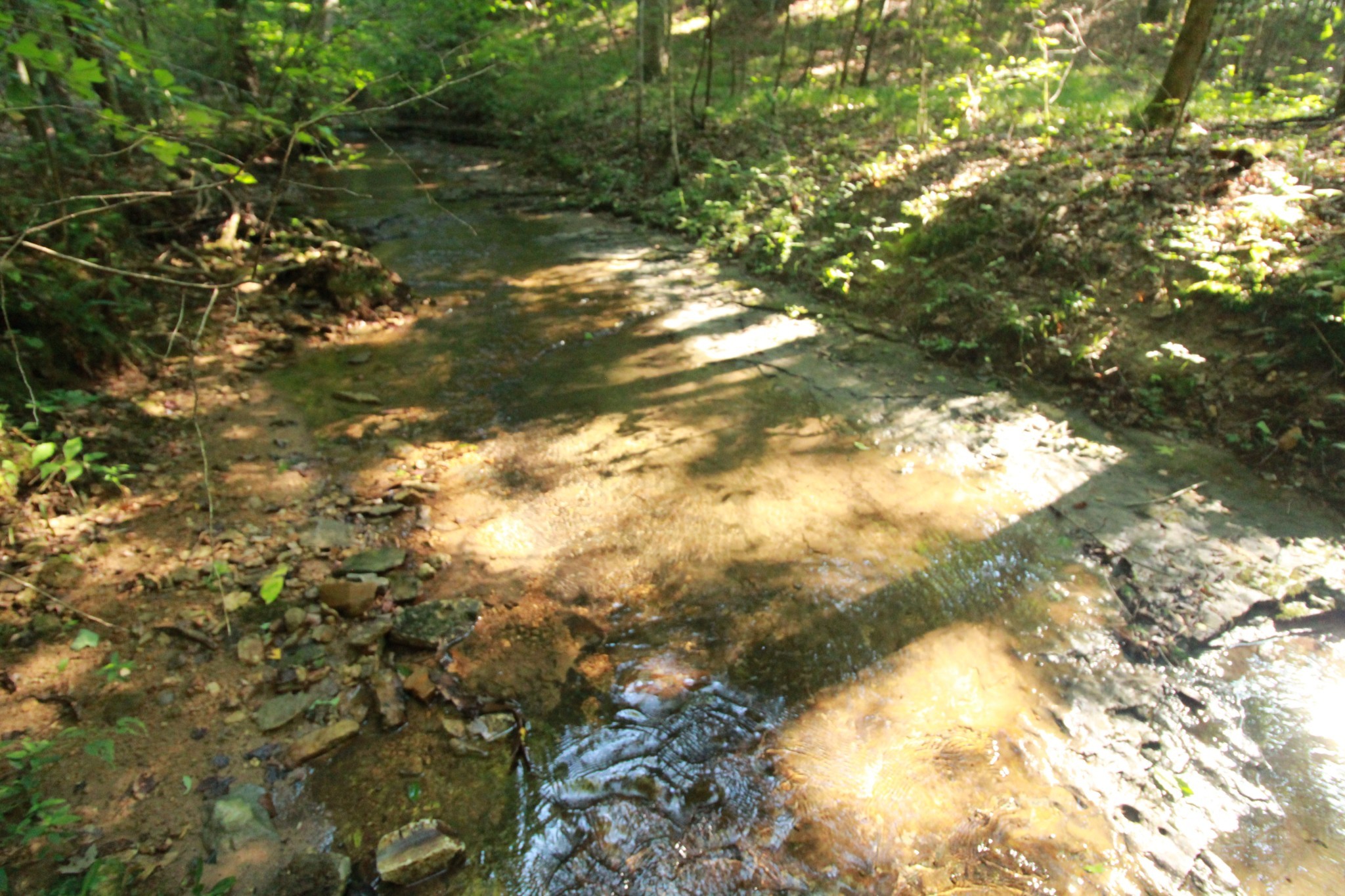 1 Bandy Road Ashland City TN 37015