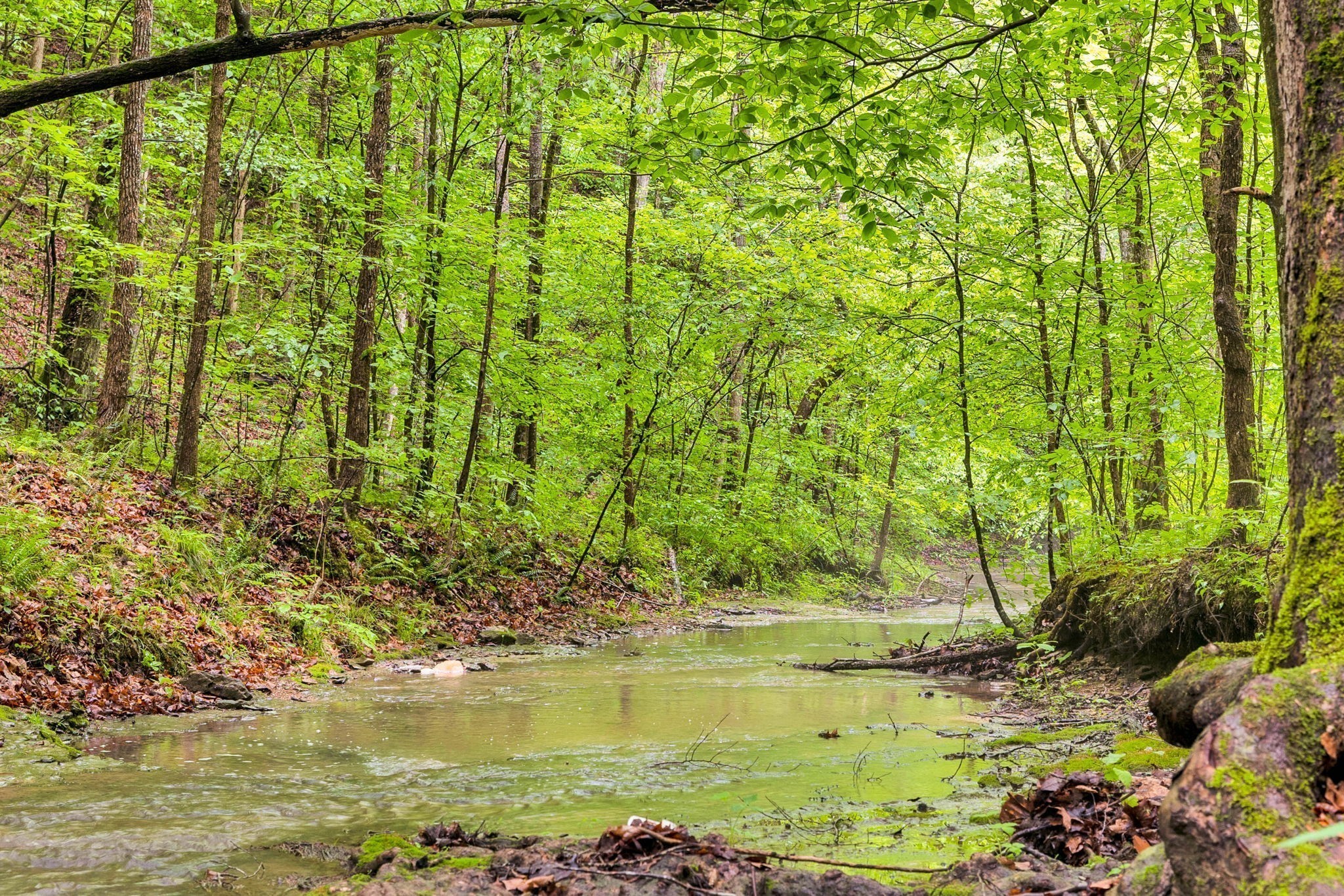1 Bandy Road Ashland City TN 37015