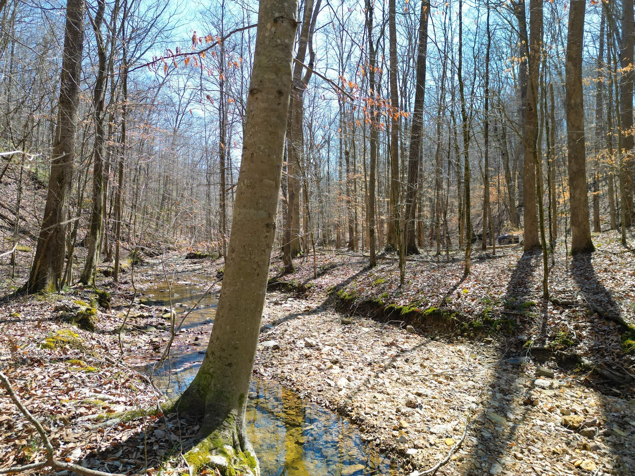 1 Bandy Road Ashland City TN 37015