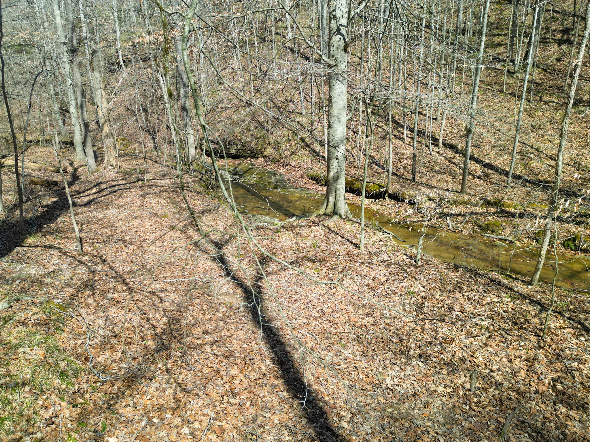 1 Bandy Road Ashland City TN 37015