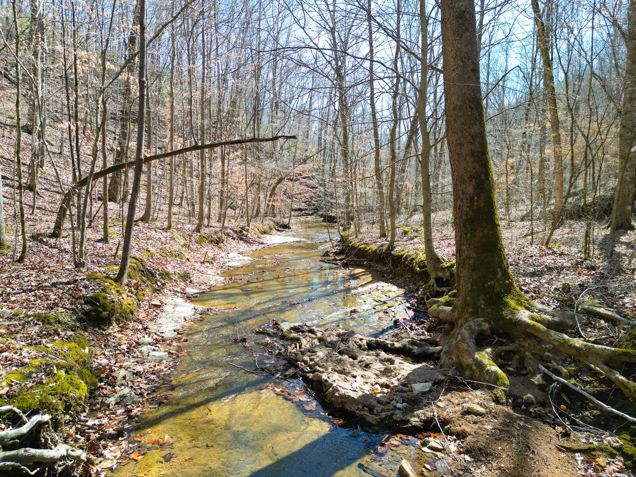 1 Bandy Road Ashland City TN 37015