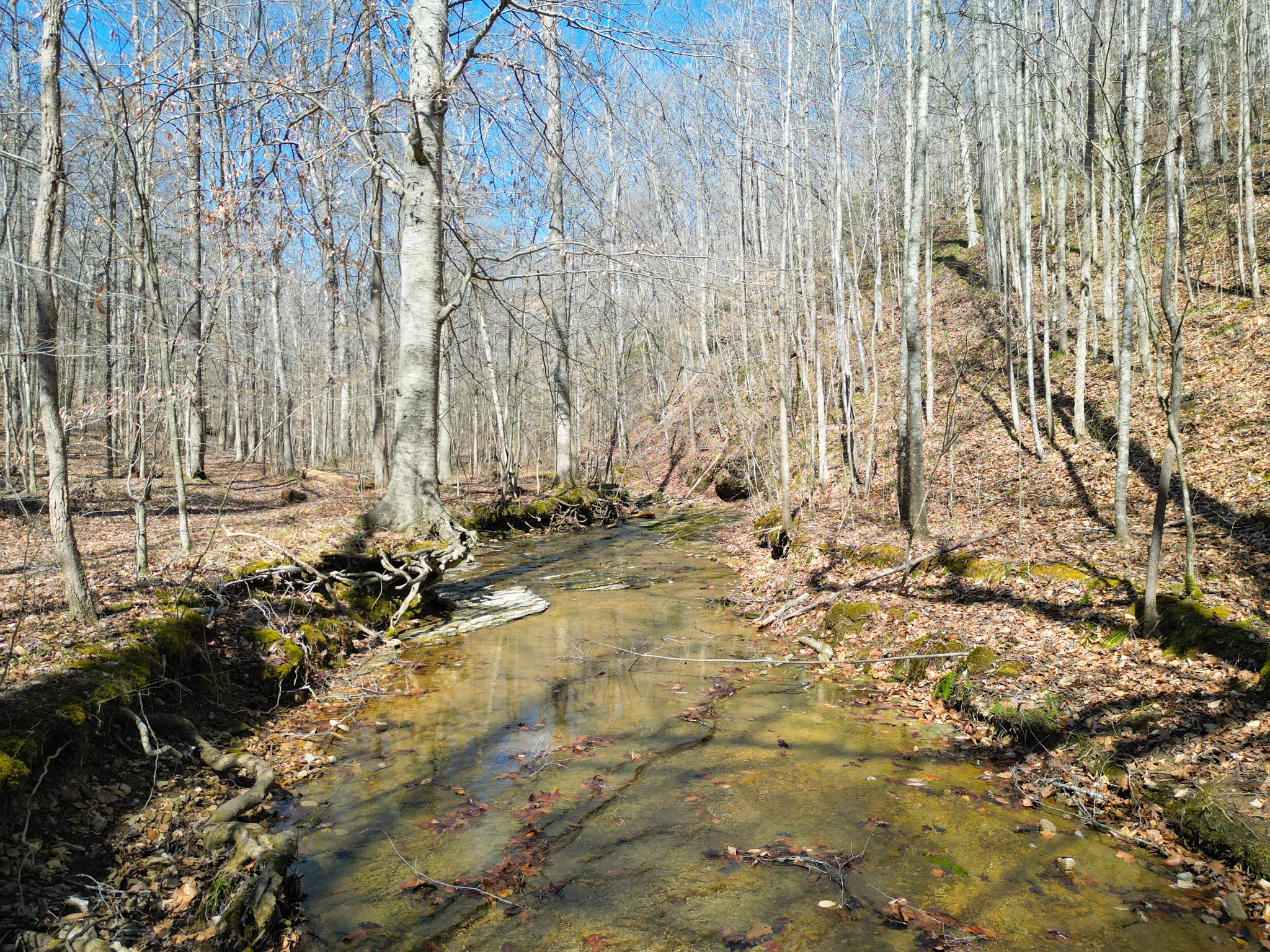1 Bandy Road Ashland City TN 37015