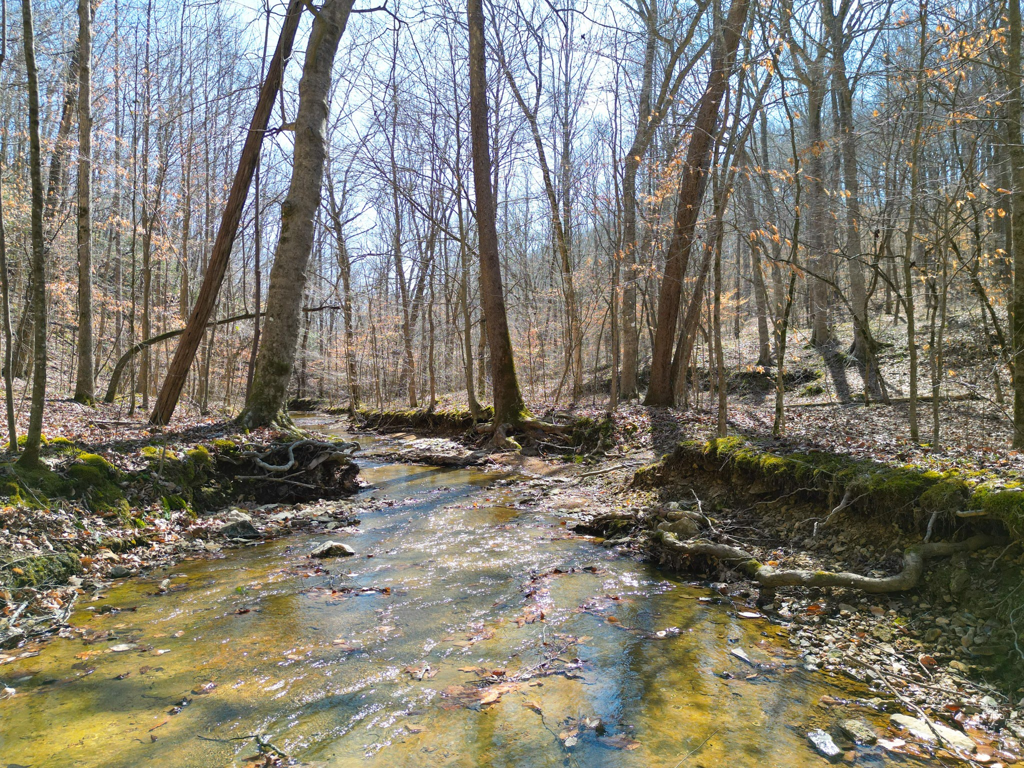 1 Bandy Road Ashland City TN 37015