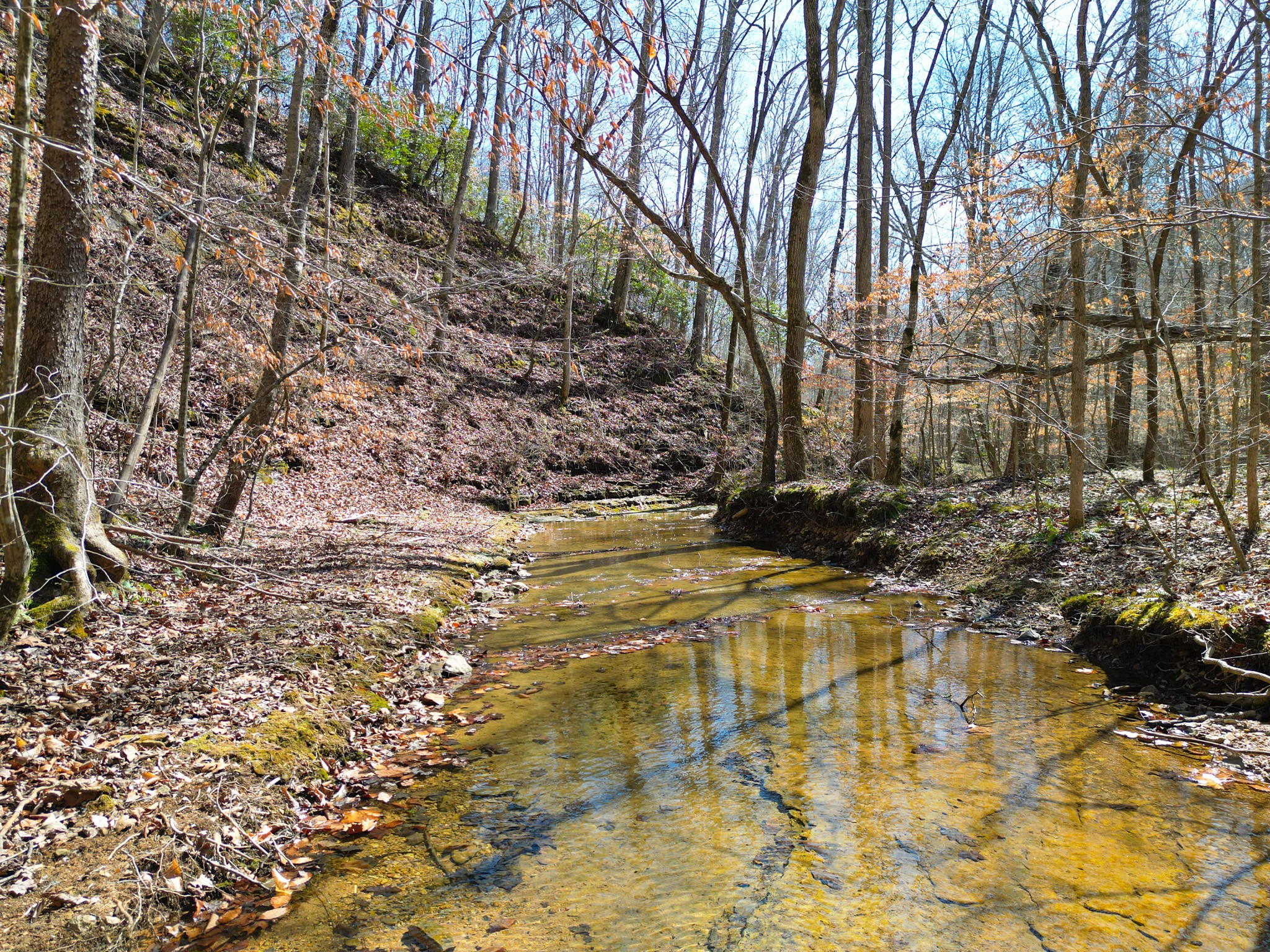 1 Bandy Road Ashland City TN 37015