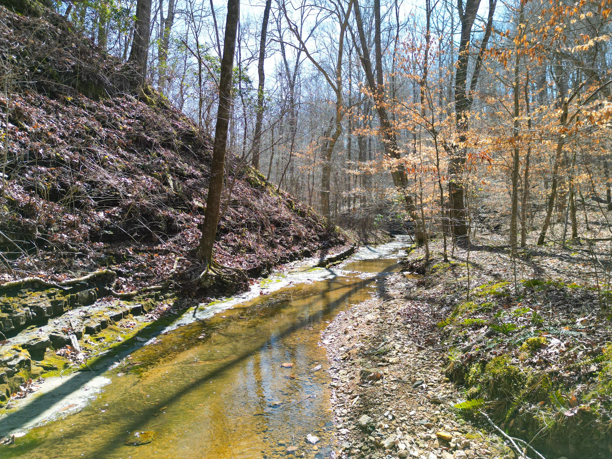1 Bandy Road Ashland City TN 37015