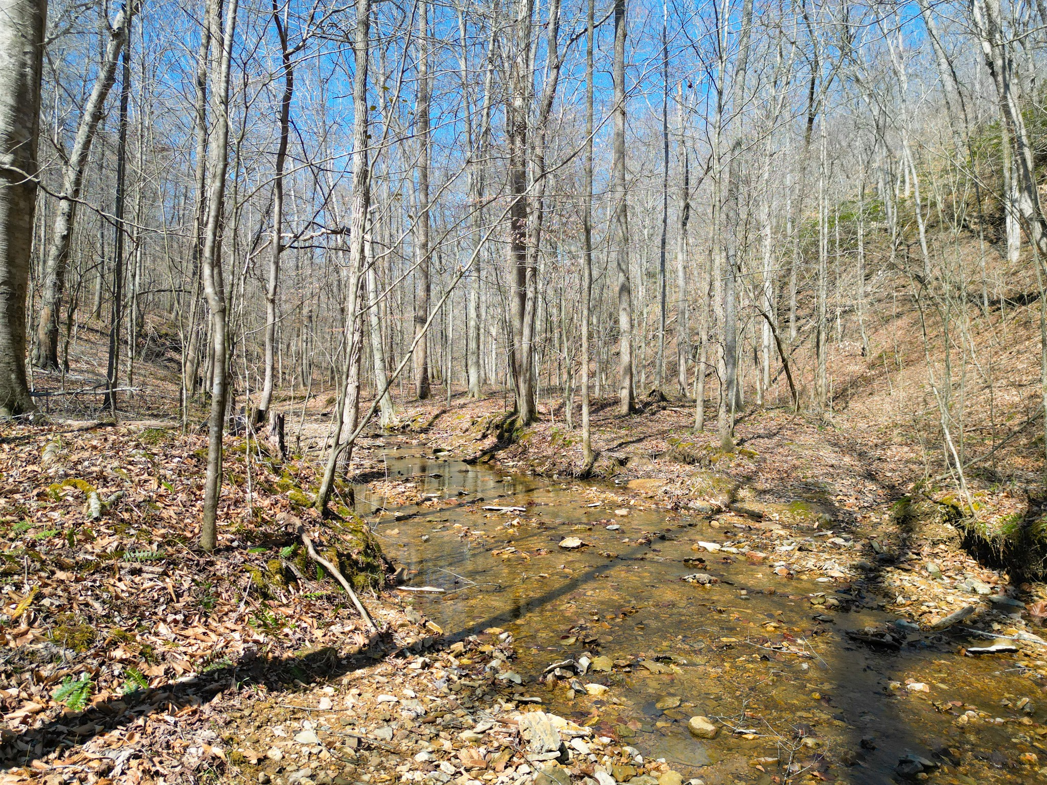 1 Bandy Road Ashland City TN 37015
