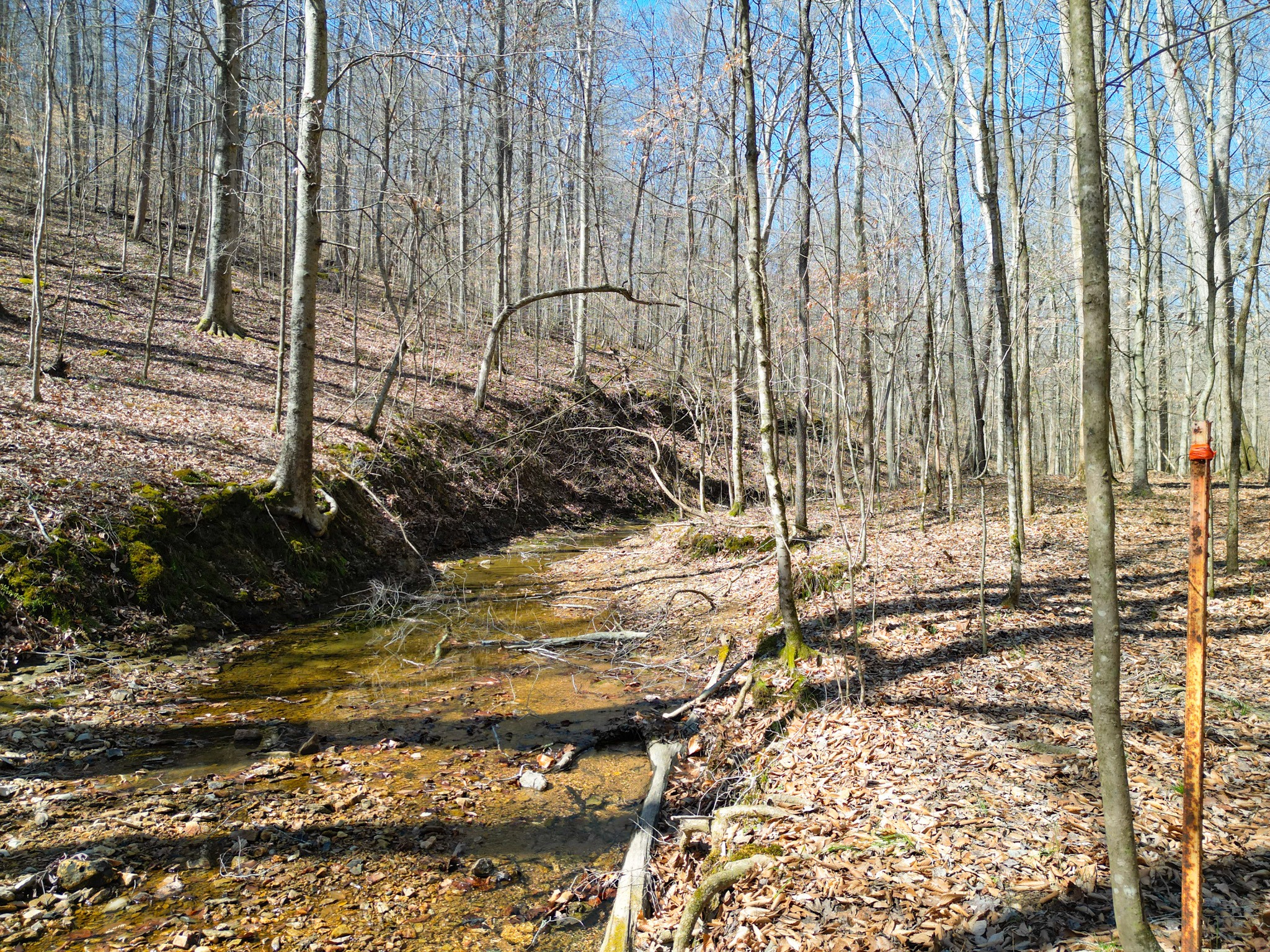 1 Bandy Road Ashland City TN 37015