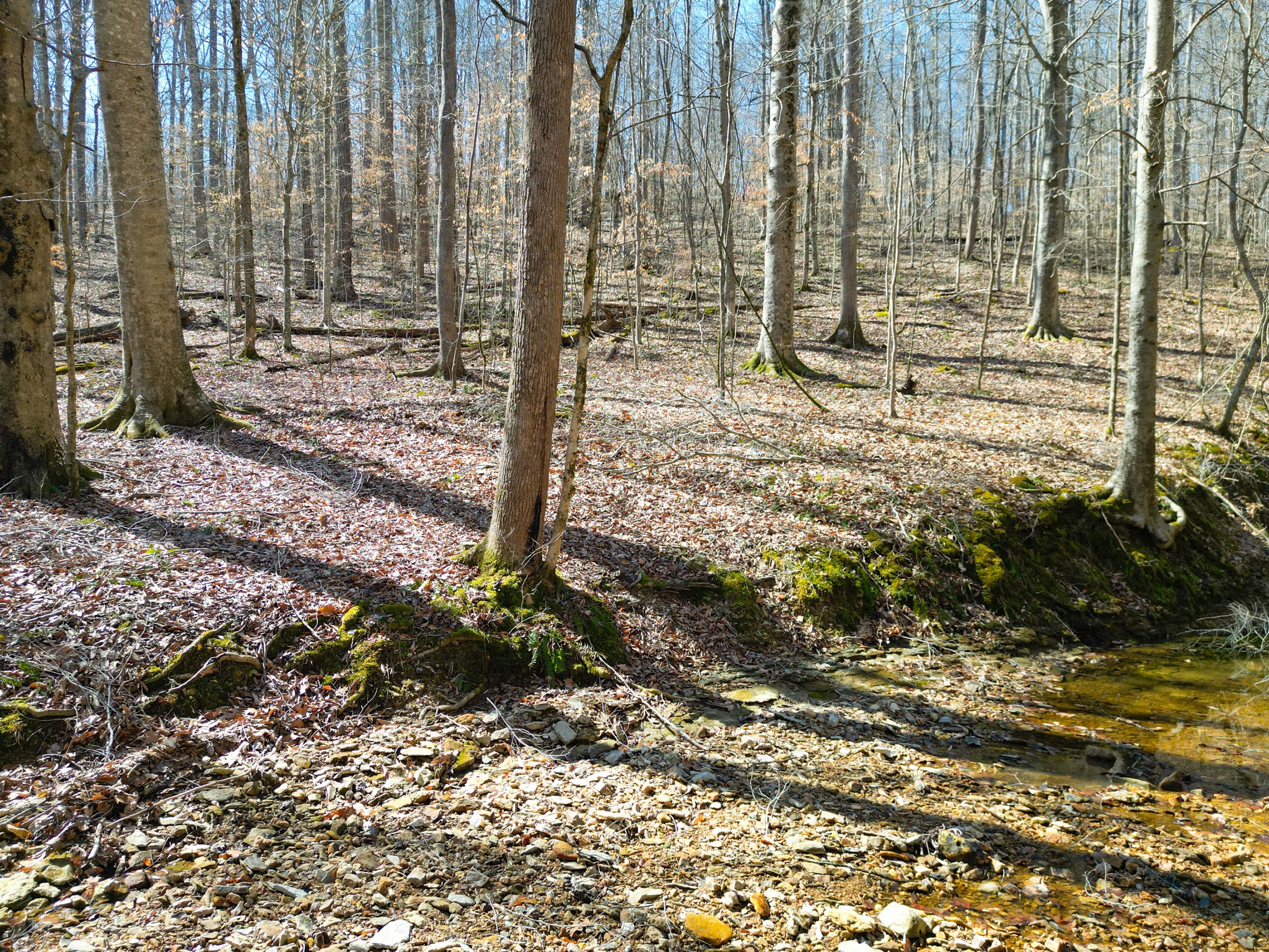 1 Bandy Road Ashland City TN 37015
