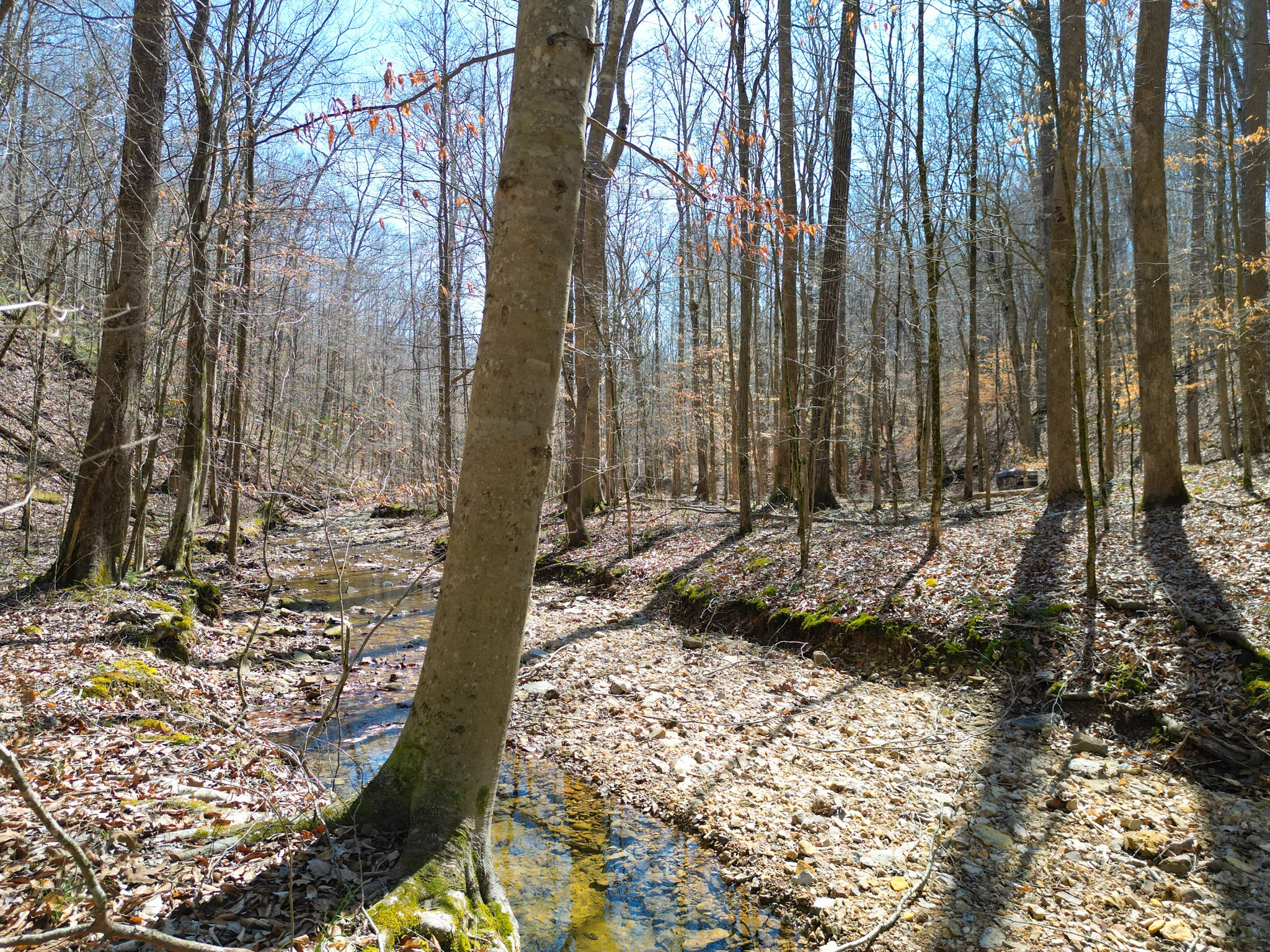 1 Bandy Road Ashland City TN 37015