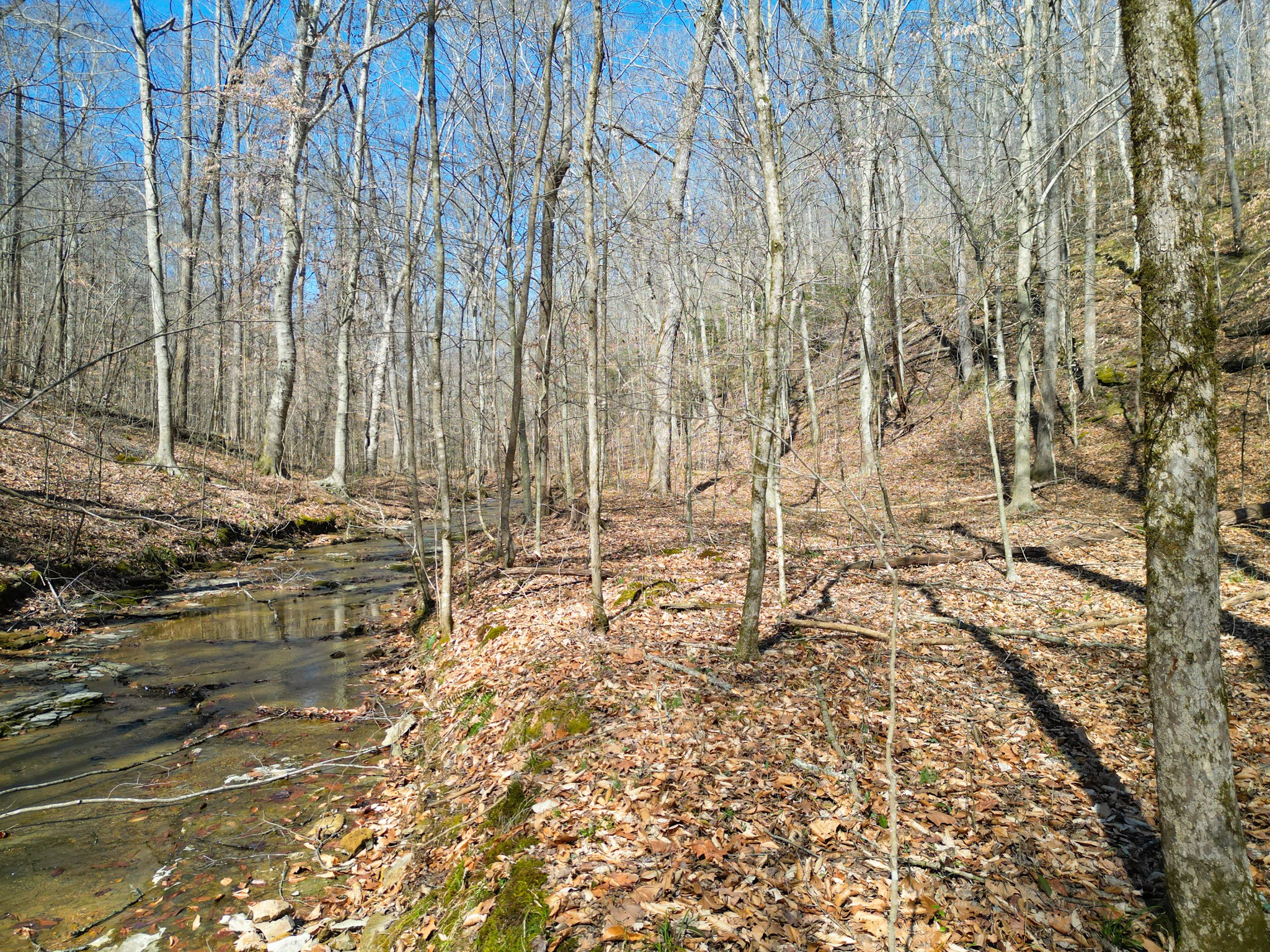 1 Bandy Road Ashland City TN 37015