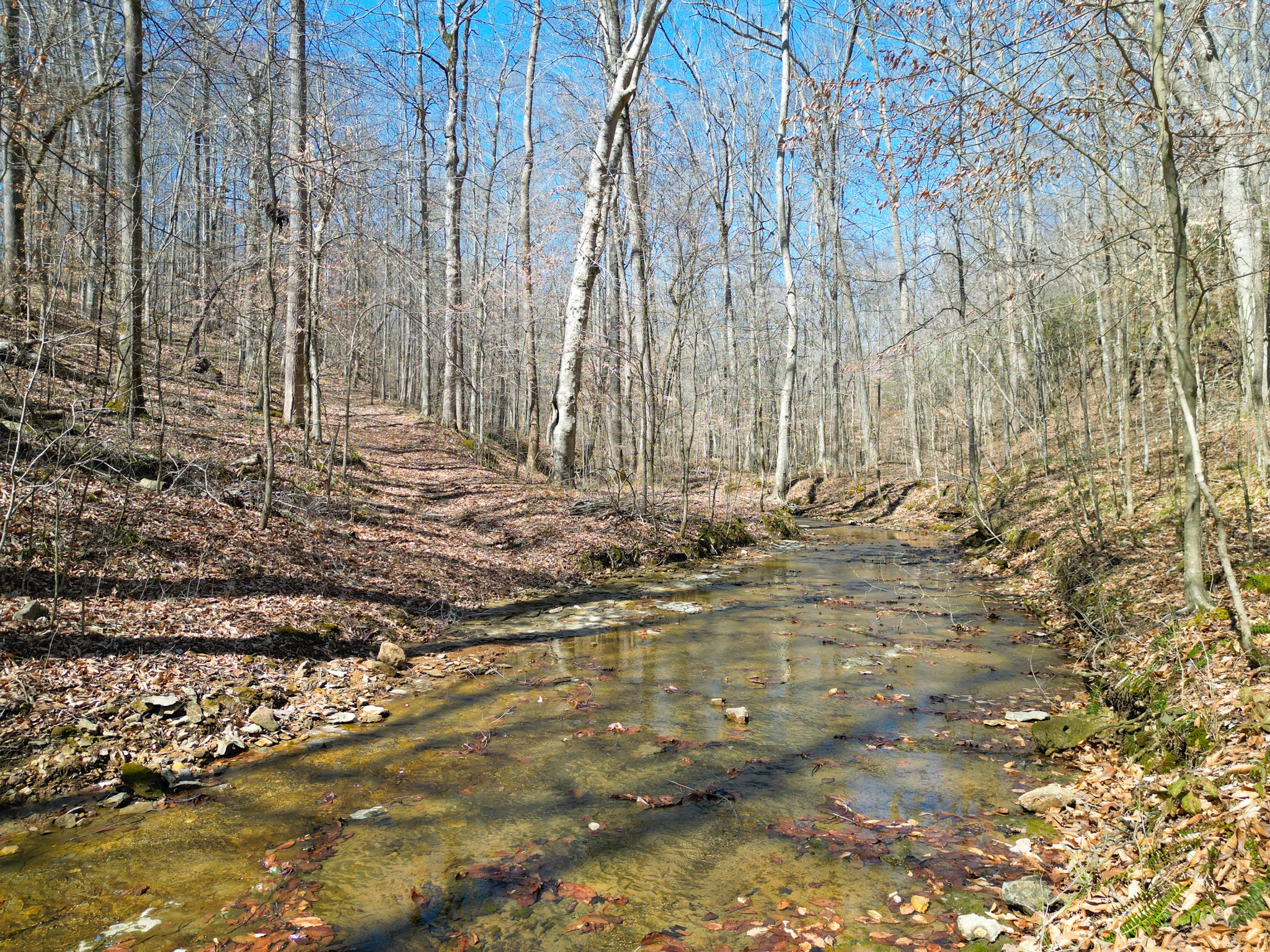1 Bandy Road Ashland City TN 37015