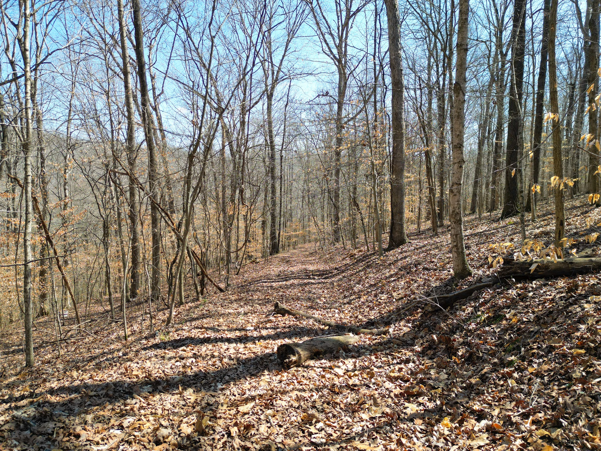 1 Bandy Road Ashland City TN 37015