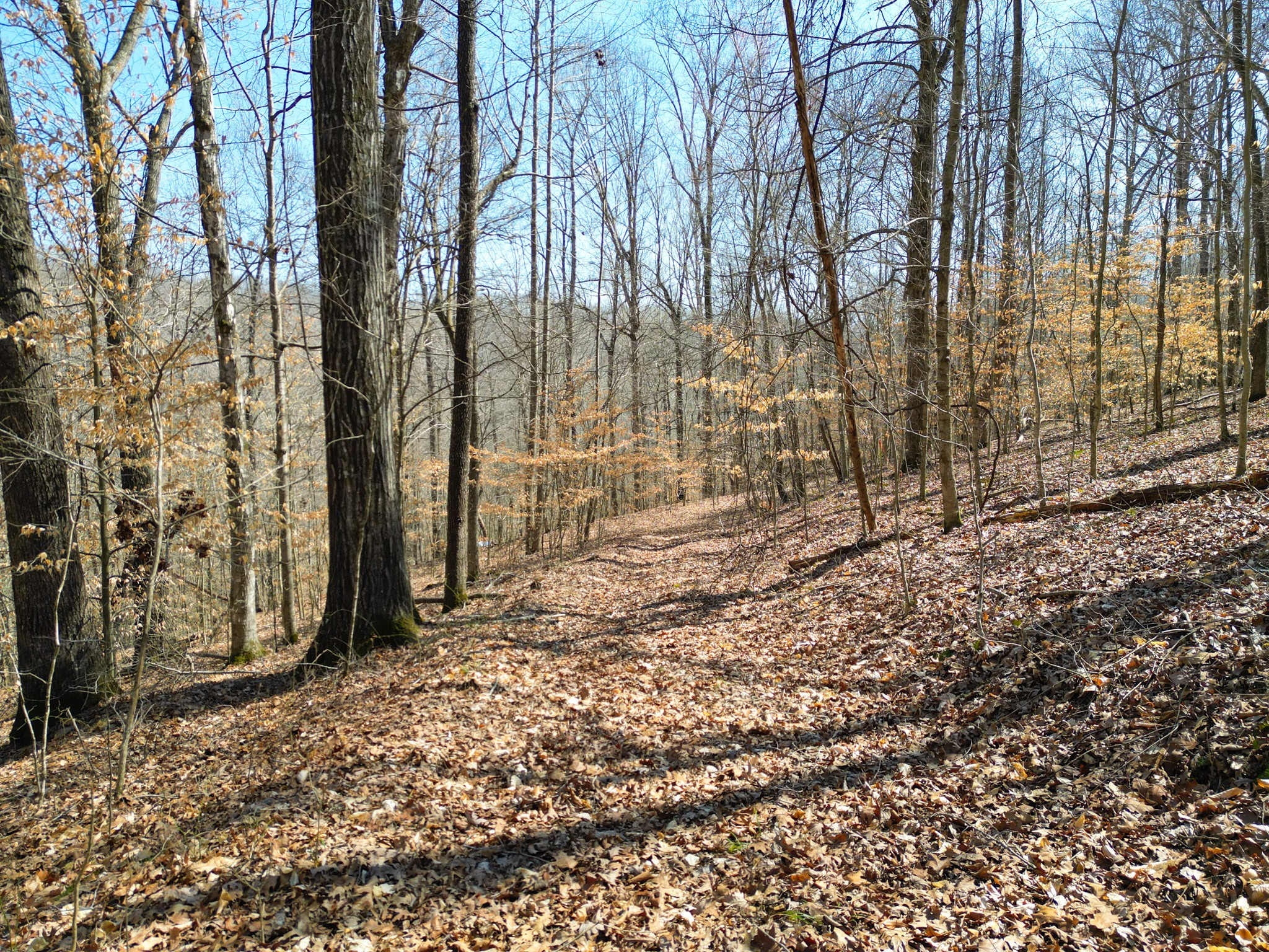 1 Bandy Road Ashland City TN 37015