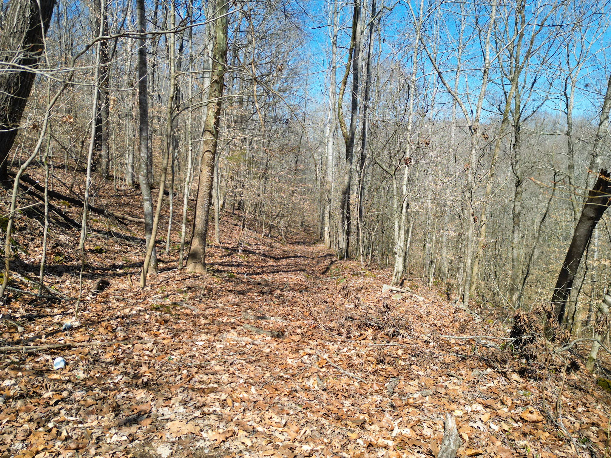 1 Bandy Road Ashland City TN 37015