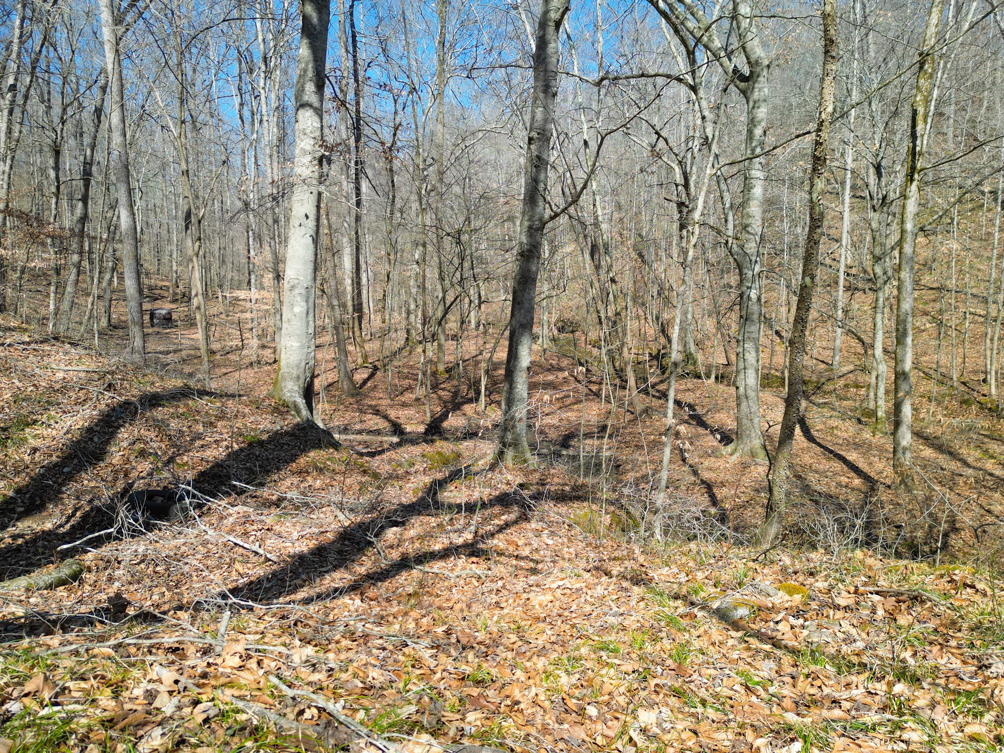 1 Bandy Road Ashland City TN 37015