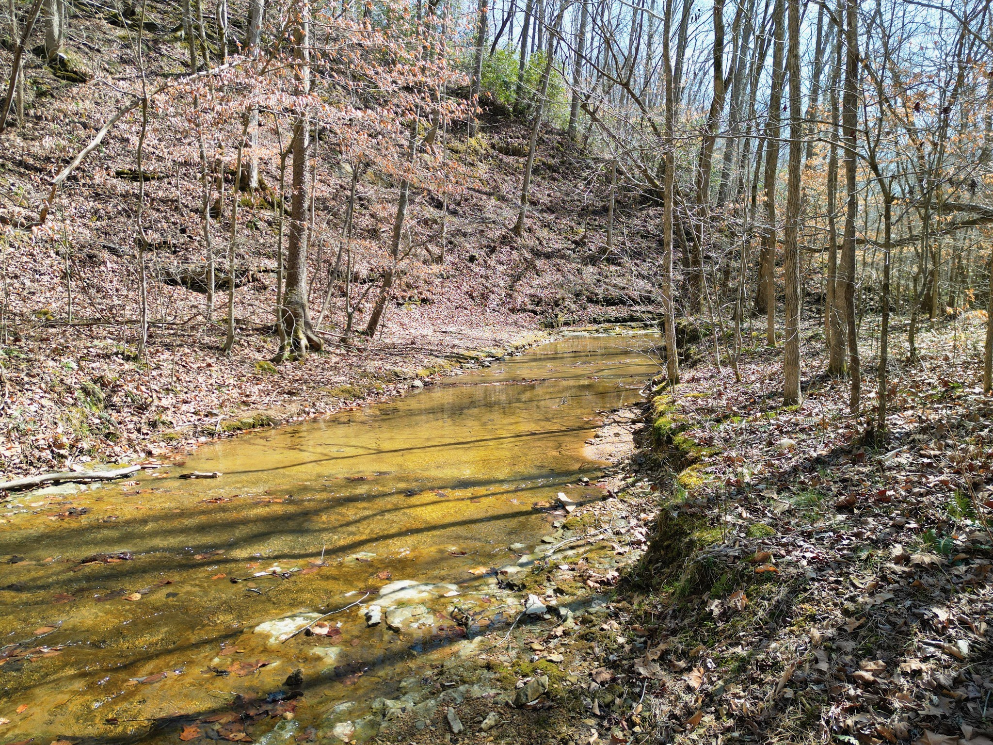 1 Bandy Road Ashland City TN 37015