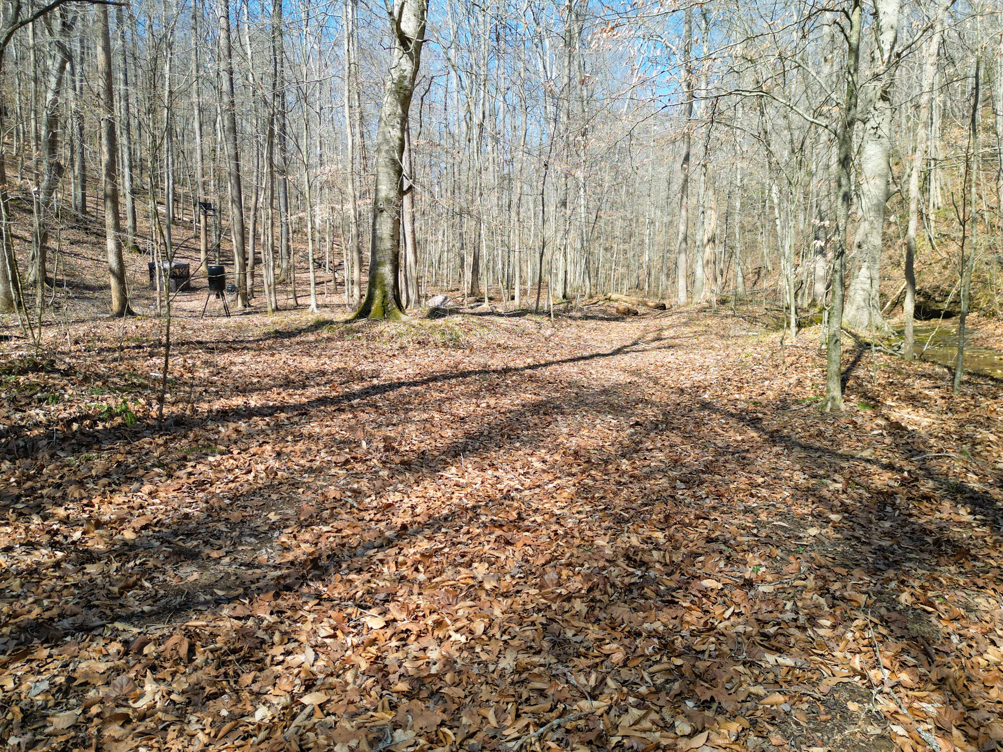 1 Bandy Road Ashland City TN 37015