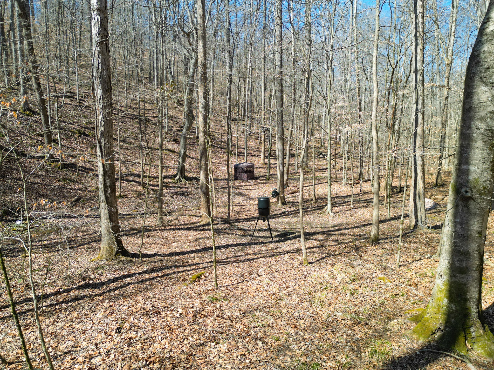 1 Bandy Road Ashland City TN 37015