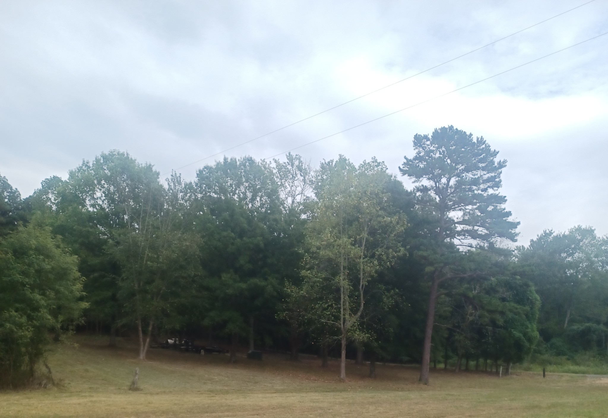 567 Rawls Road Paris TN 38242