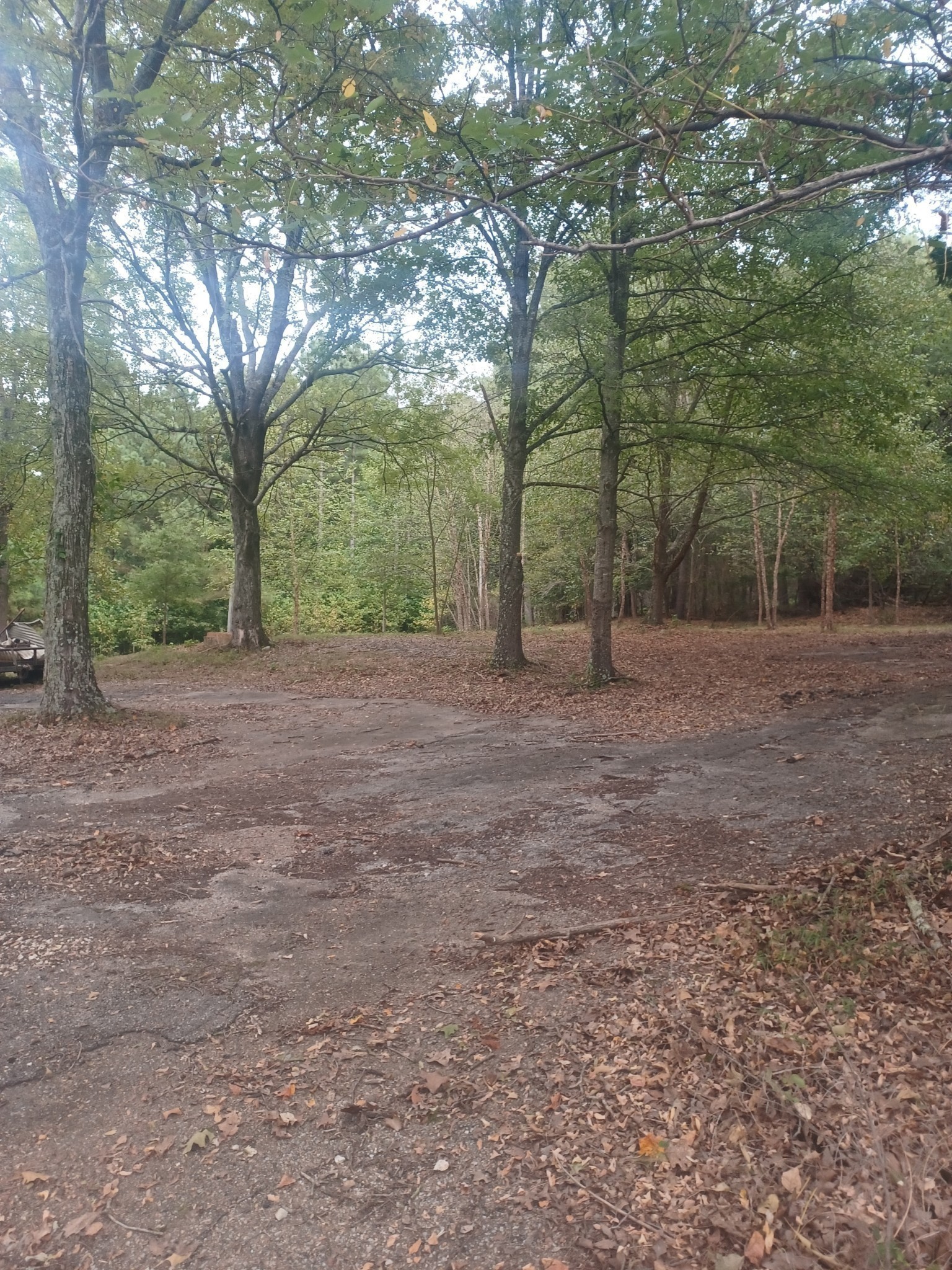 567 Rawls Road Paris TN 38242