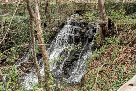 1195 Shipman Creek Road Wartrace TN 37183