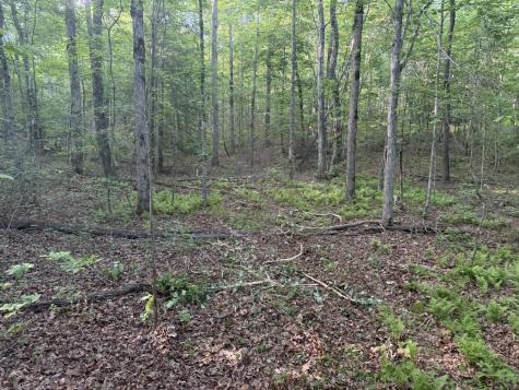 1672 Besstown Road Beersheba Springs TN 37305
